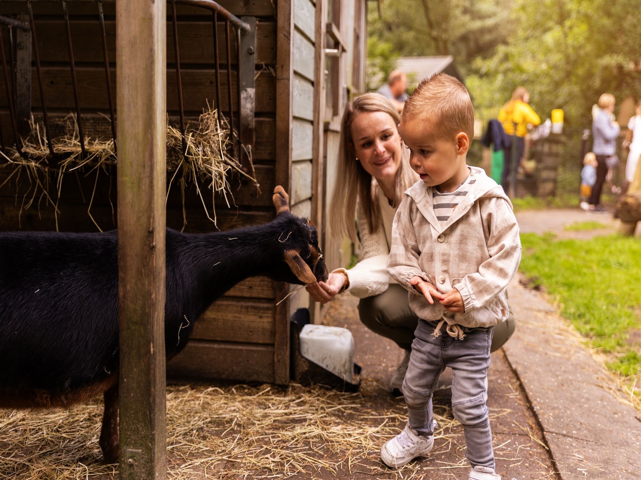 Parkfaciliteiten bij Parc Heihaas 9 in Putten
