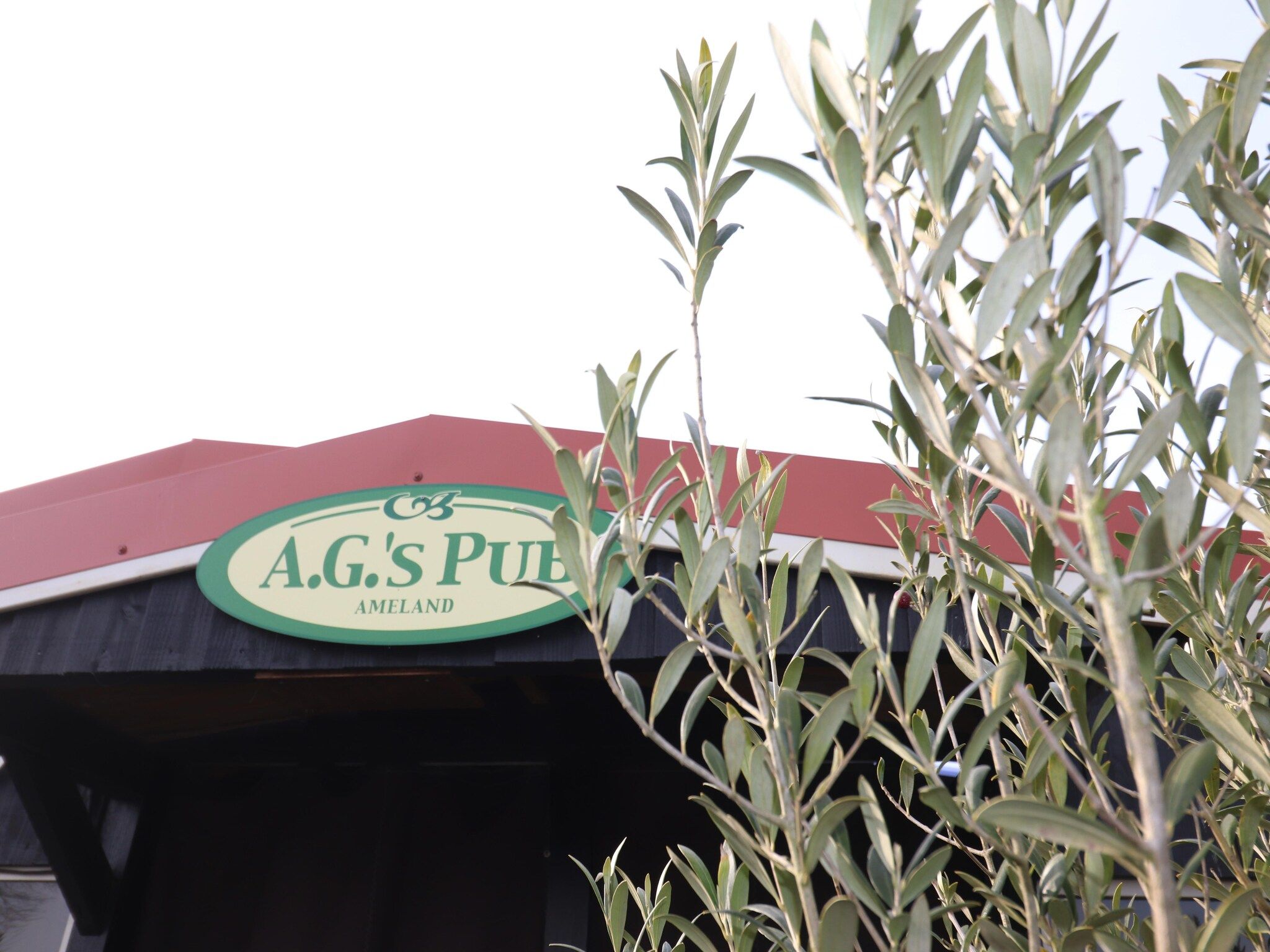 Parkfaciliteiten bij Golfvilla 38 comfort in Hollum