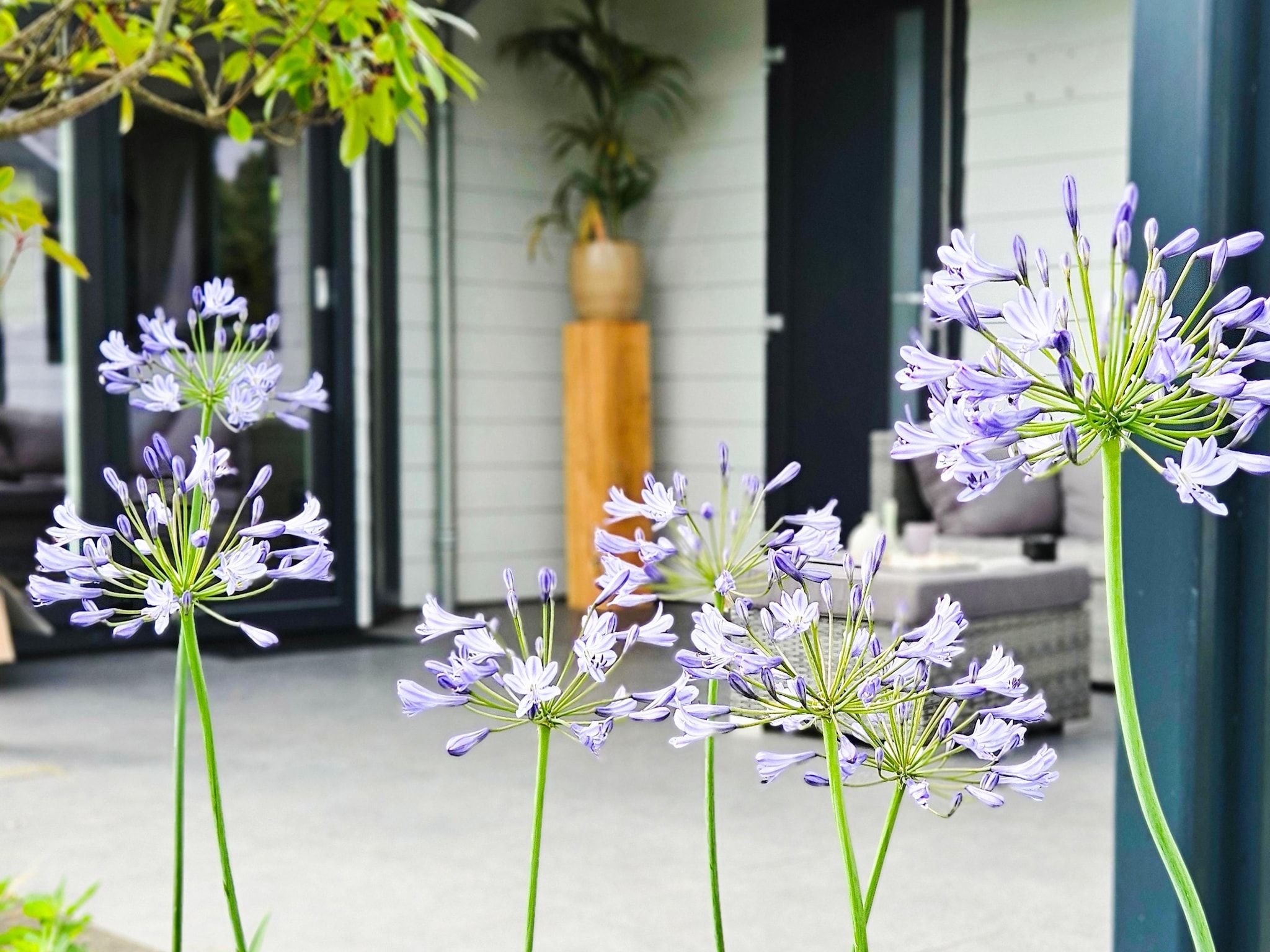 Sfeerbeeld van Kieftveen 18-535 Bamboo house in Voorthuizen