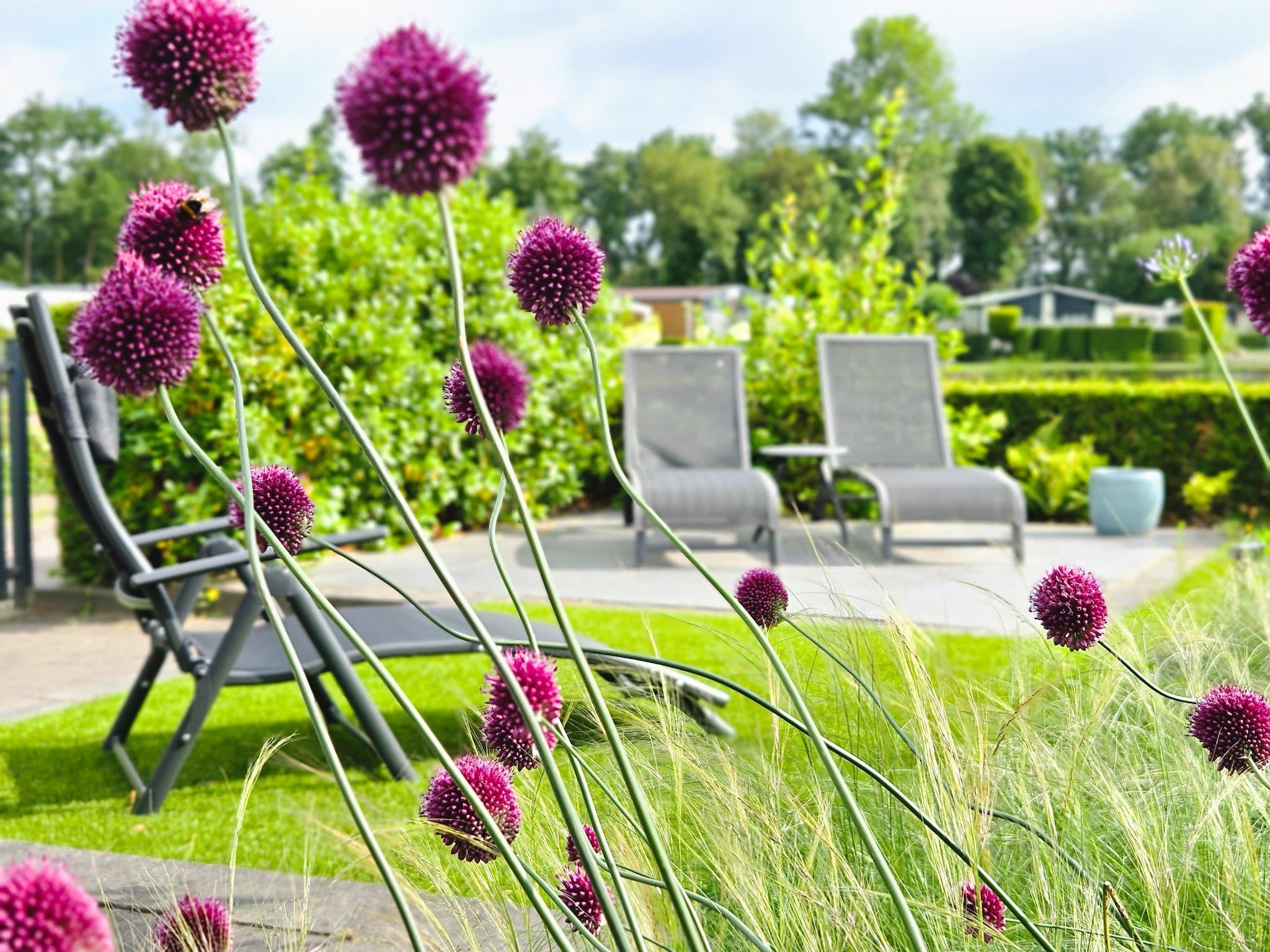 Sfeerbeeld van Kieftveen 18-535 Bamboo house in Voorthuizen