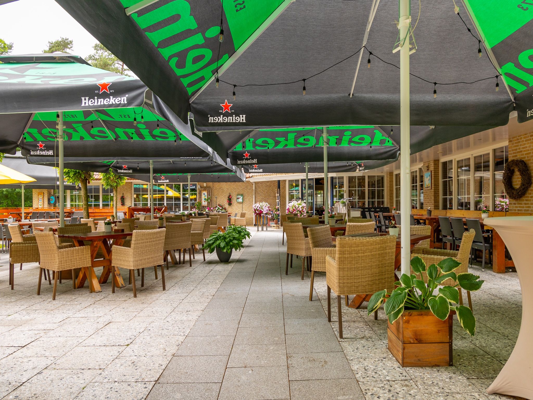 Parkfaciliteiten bij Vakantiepark Hellendoorn 6 in Hellendoorn