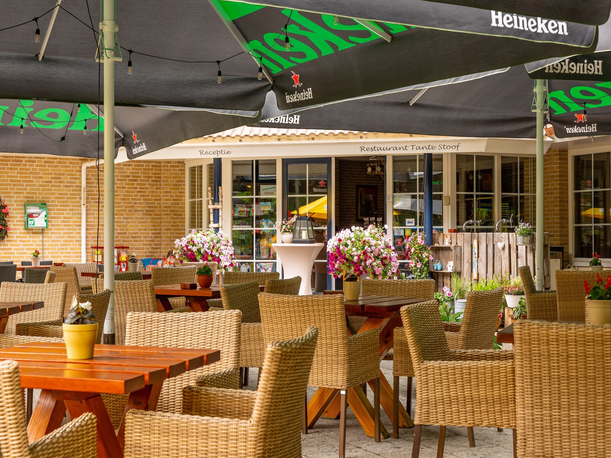 Parkfaciliteiten bij Vakantiepark Hellendoorn 6 in Hellendoorn