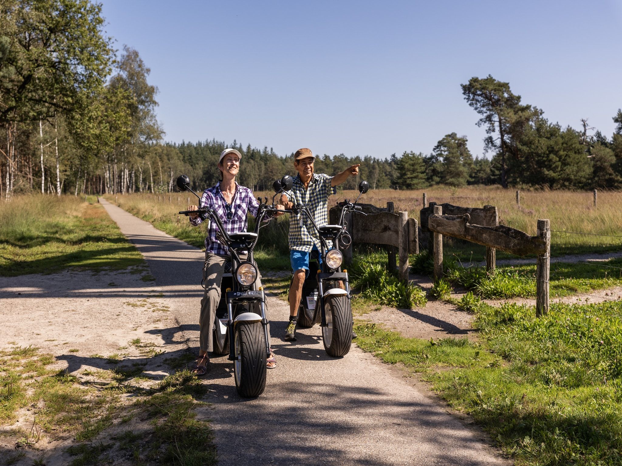 Sfeerbeeld van Parc Duc de Brabant 13 in Diessen-Baarschot