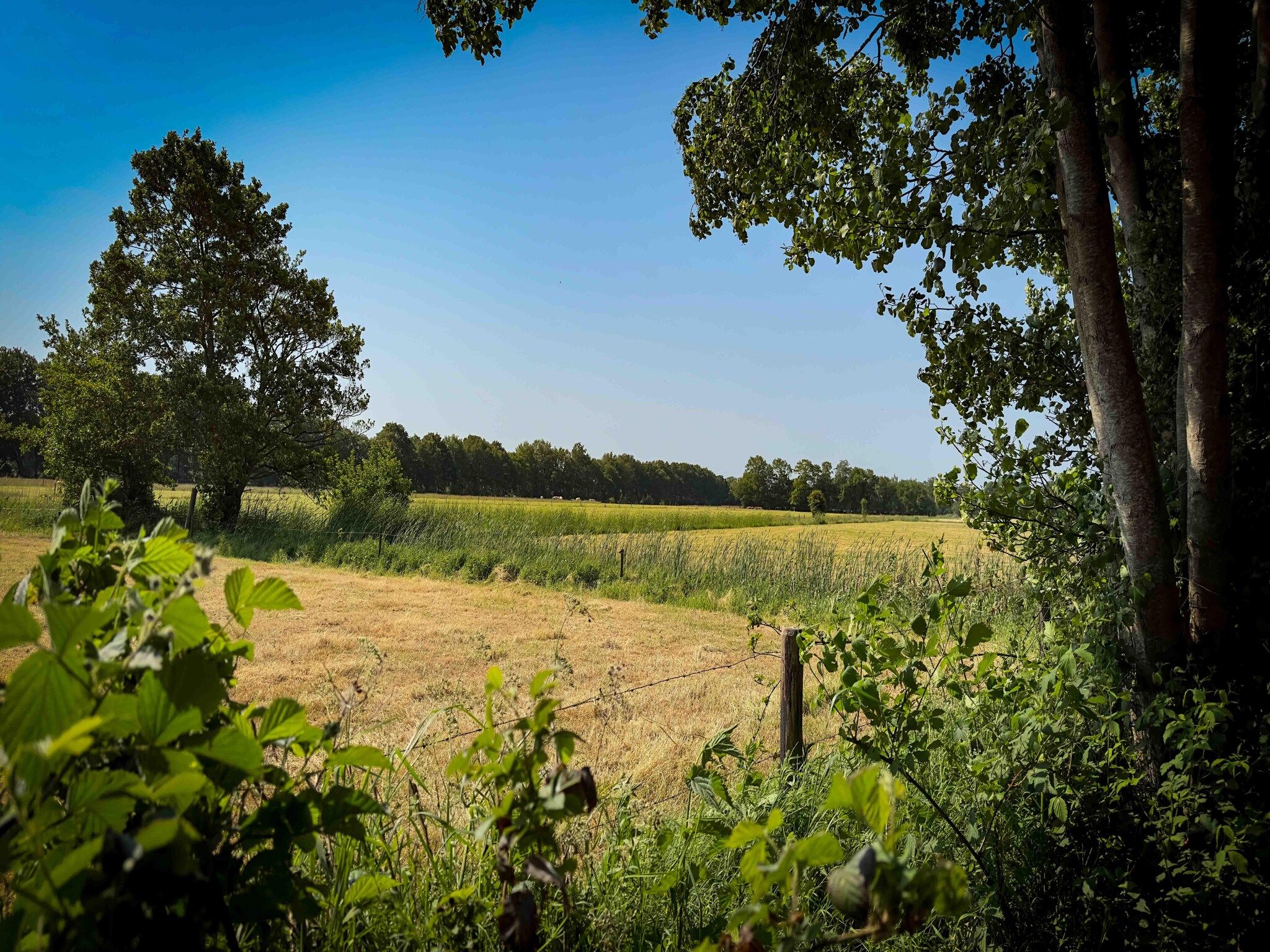 De omgeving van It Simmerhuske in Jistrum / Skûlenboarch