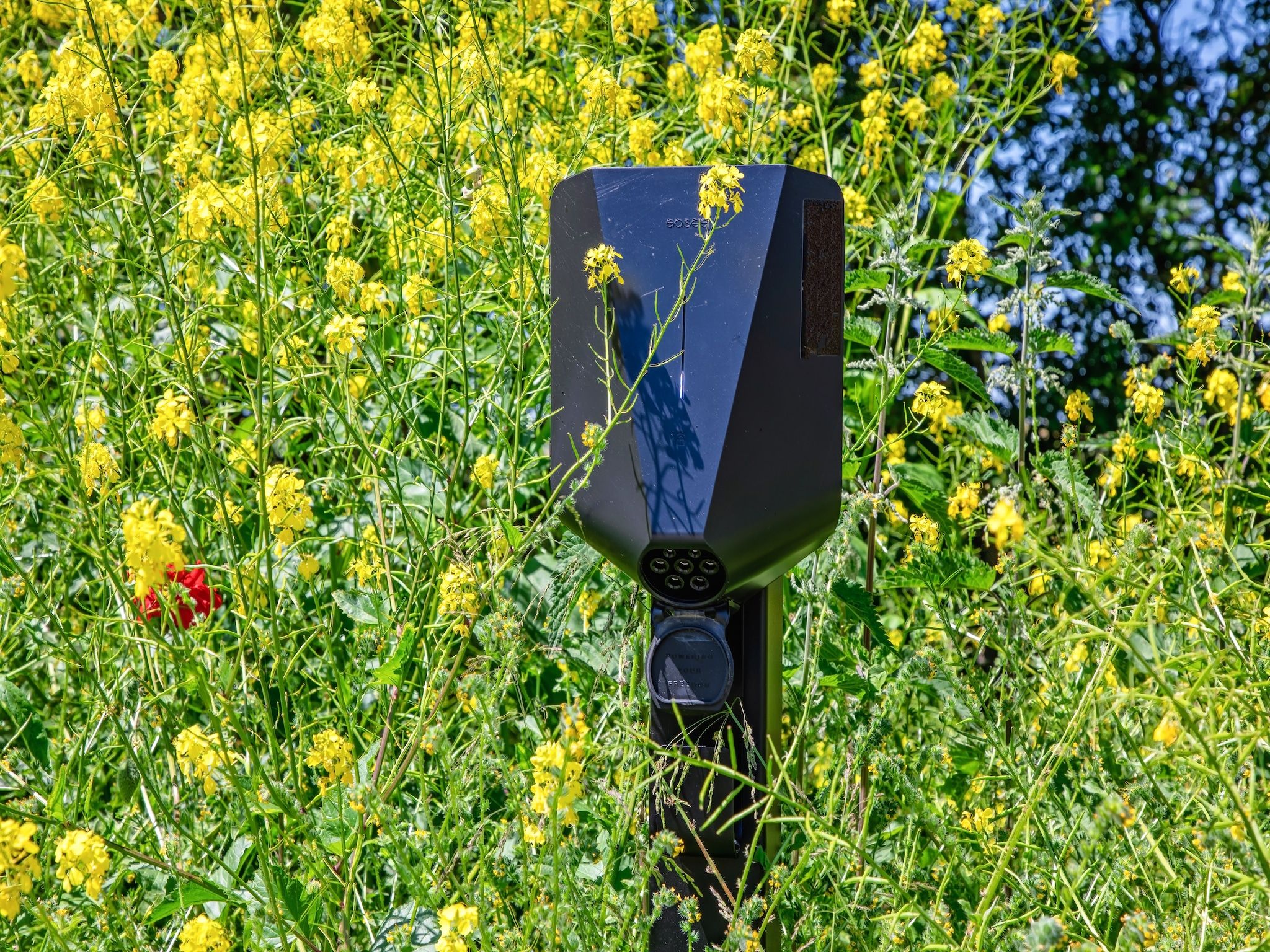 Familievilla Nieuw-Zeeland in Oosterend - Foto 38 van 38