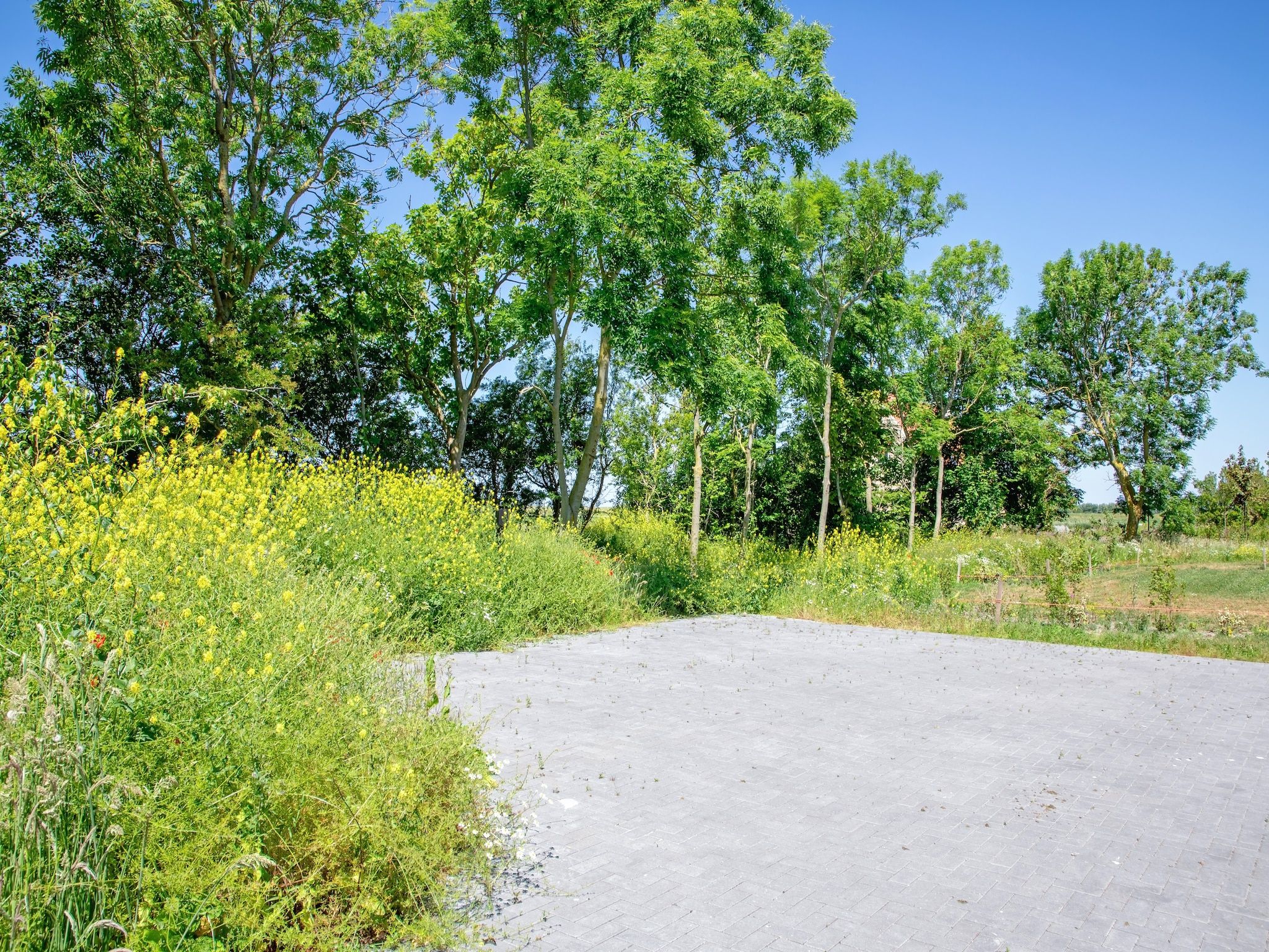 De tuin van Familievilla Nieuw-Zeeland in Oosterend