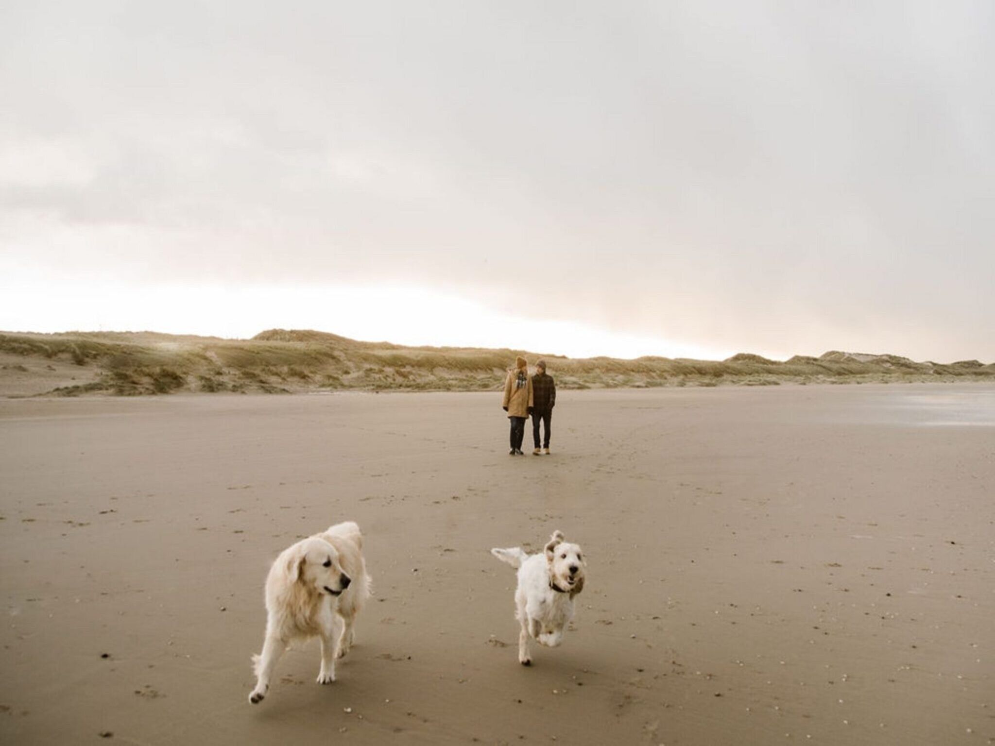 Juttershut Duynpark - Callantsoog in Callantsoog - Foto 37 van 39