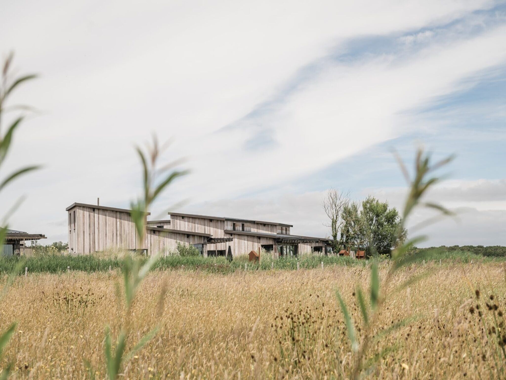 De tuin van Juttershut Duynpark - Callantsoog in Callantsoog