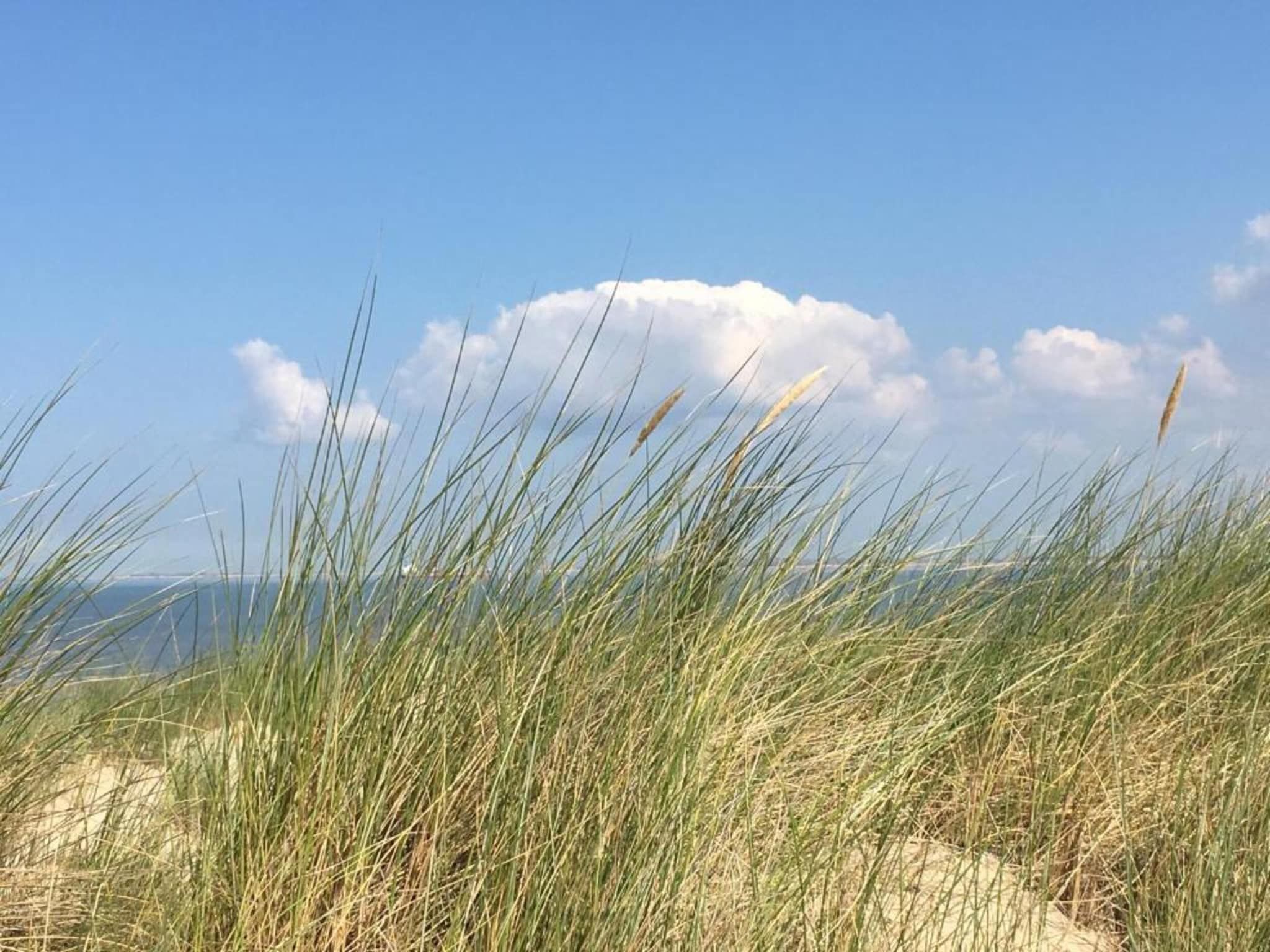 Harbour Village 5 in Arnemuiden - Foto 18 van 31