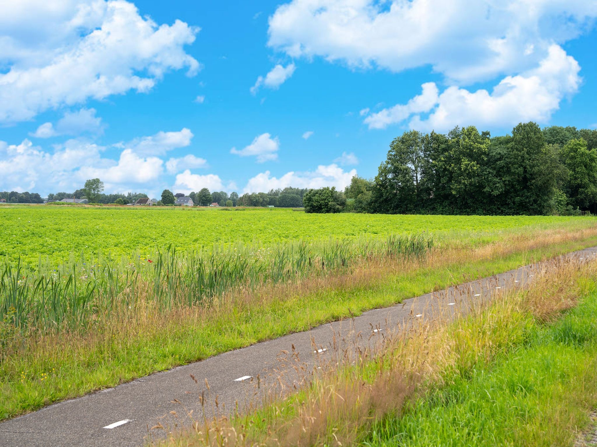 Lodge David in Hattemerbroek - Foto 30 van 40