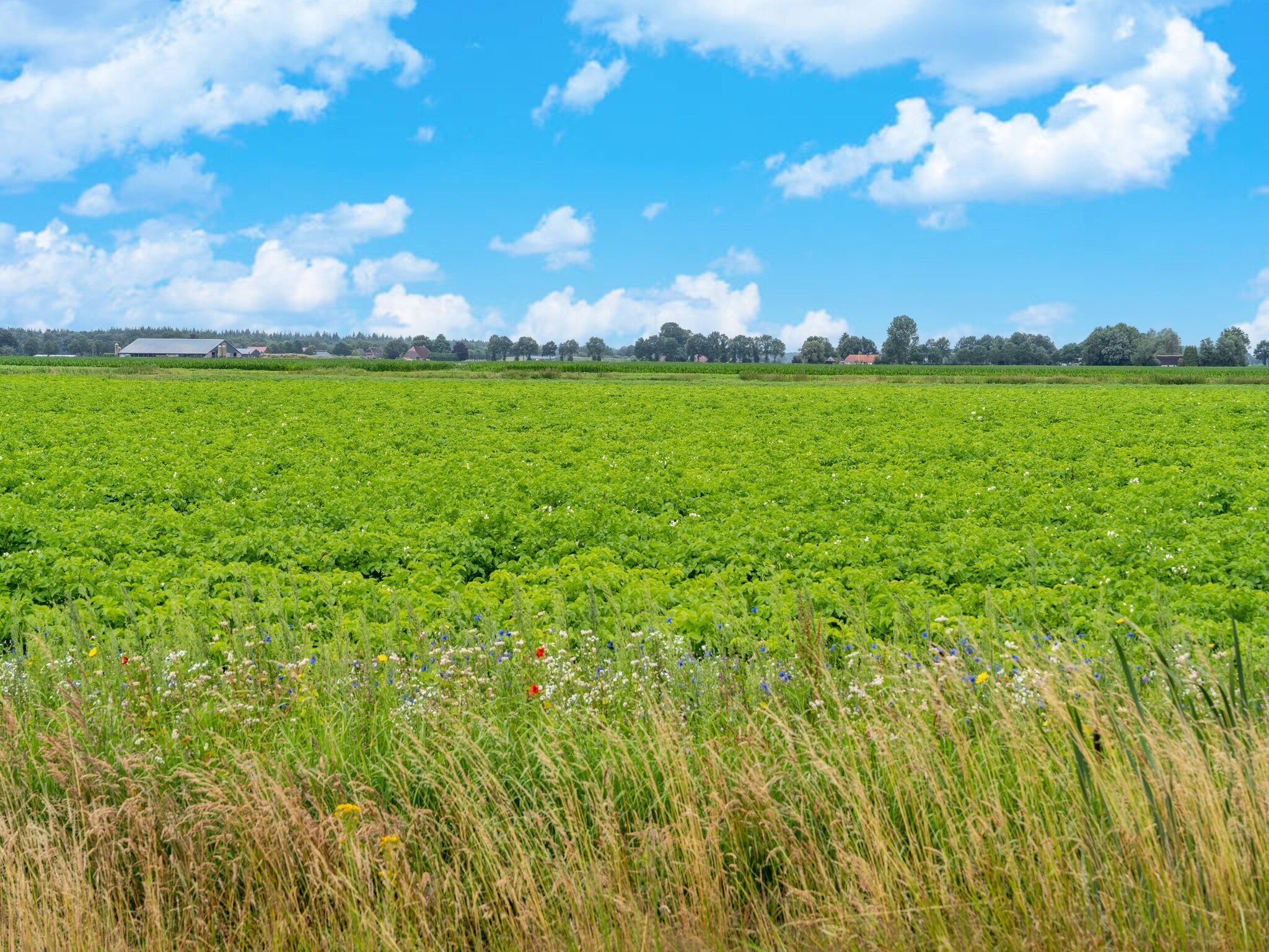 Lodge David in Hattemerbroek - Foto 31 van 40