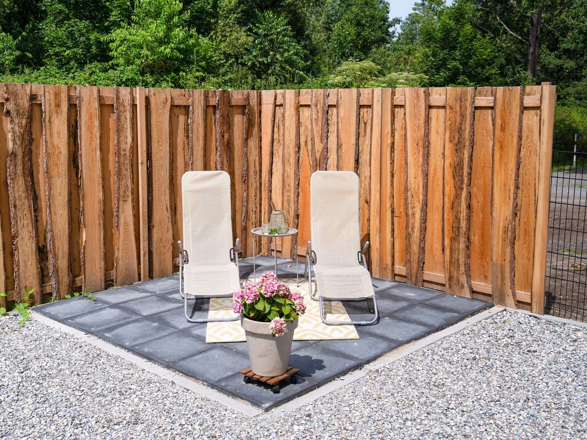 De tuin van Lodge David in Hattemerbroek