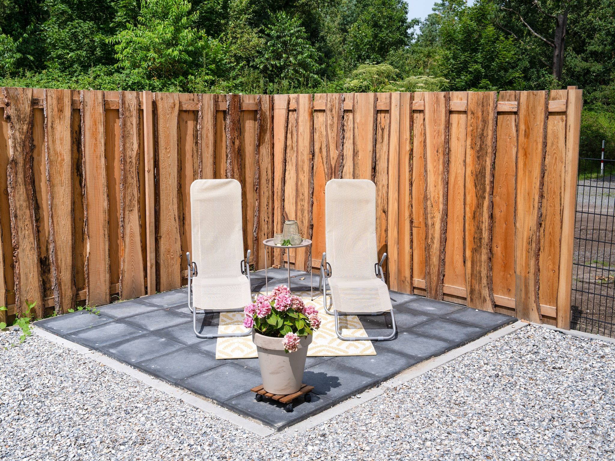 De tuin van Lodge David in Hattemerbroek