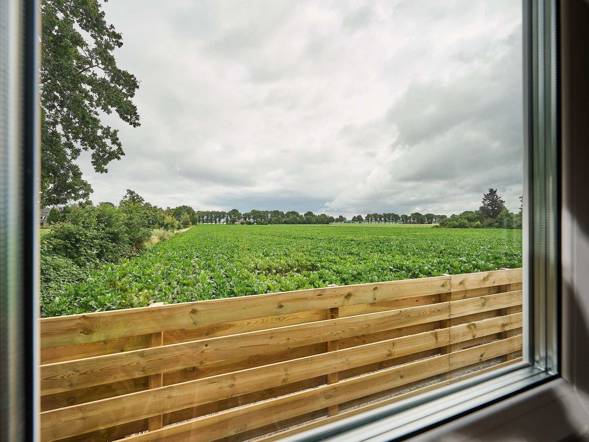 Het uitzicht vanaf De Weide 4P in De Kiel