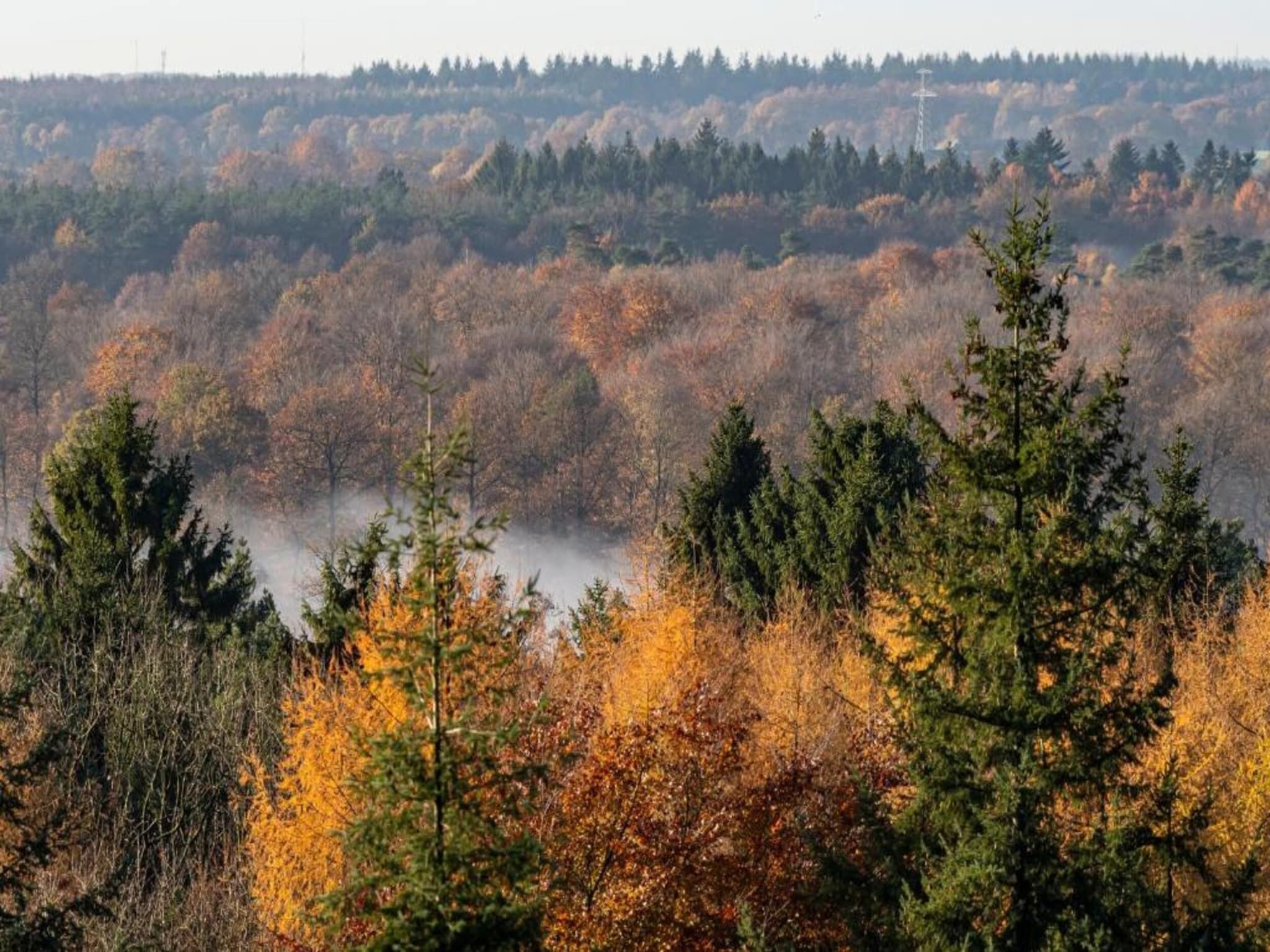 De Weide 4P in De Kiel - Foto 25 van 39