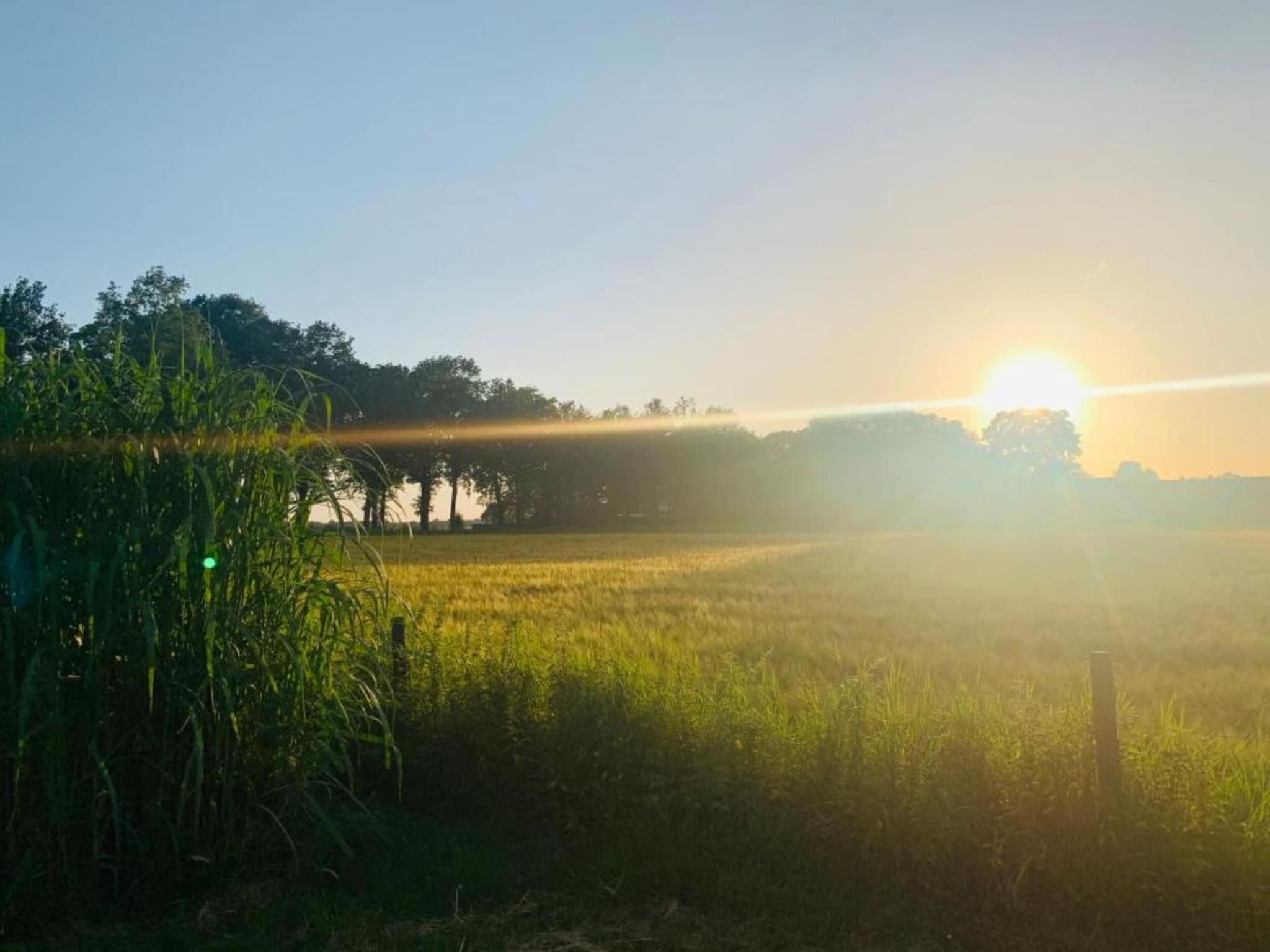 De Weide 4P in De Kiel - Foto 36 van 39