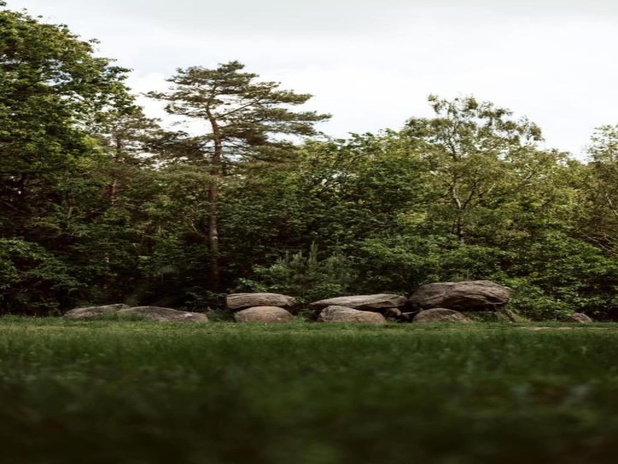 De Weide 4P in De Kiel - Foto 38 van 39