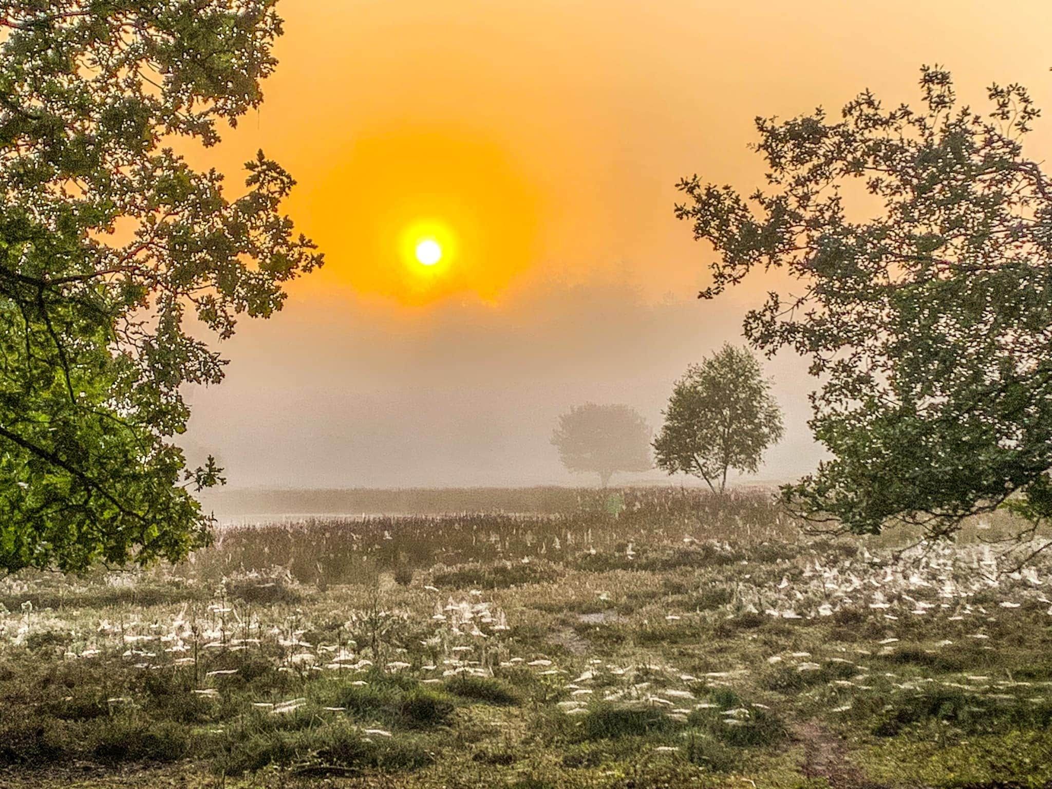 De Ploeg 6P in De Kiel - Foto 15 van 26