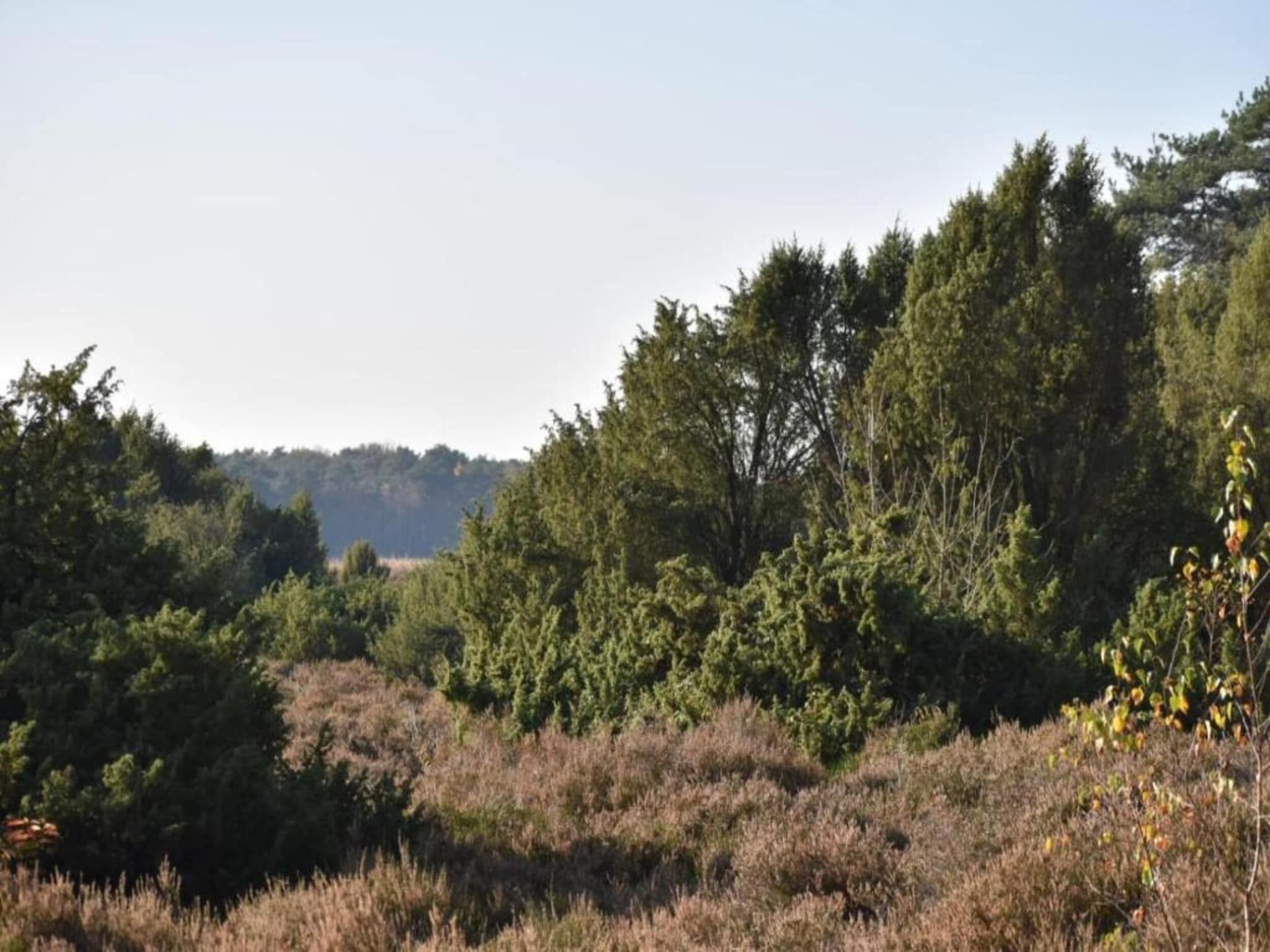 De Riek 4P in De Kiel - Foto 19 van 25