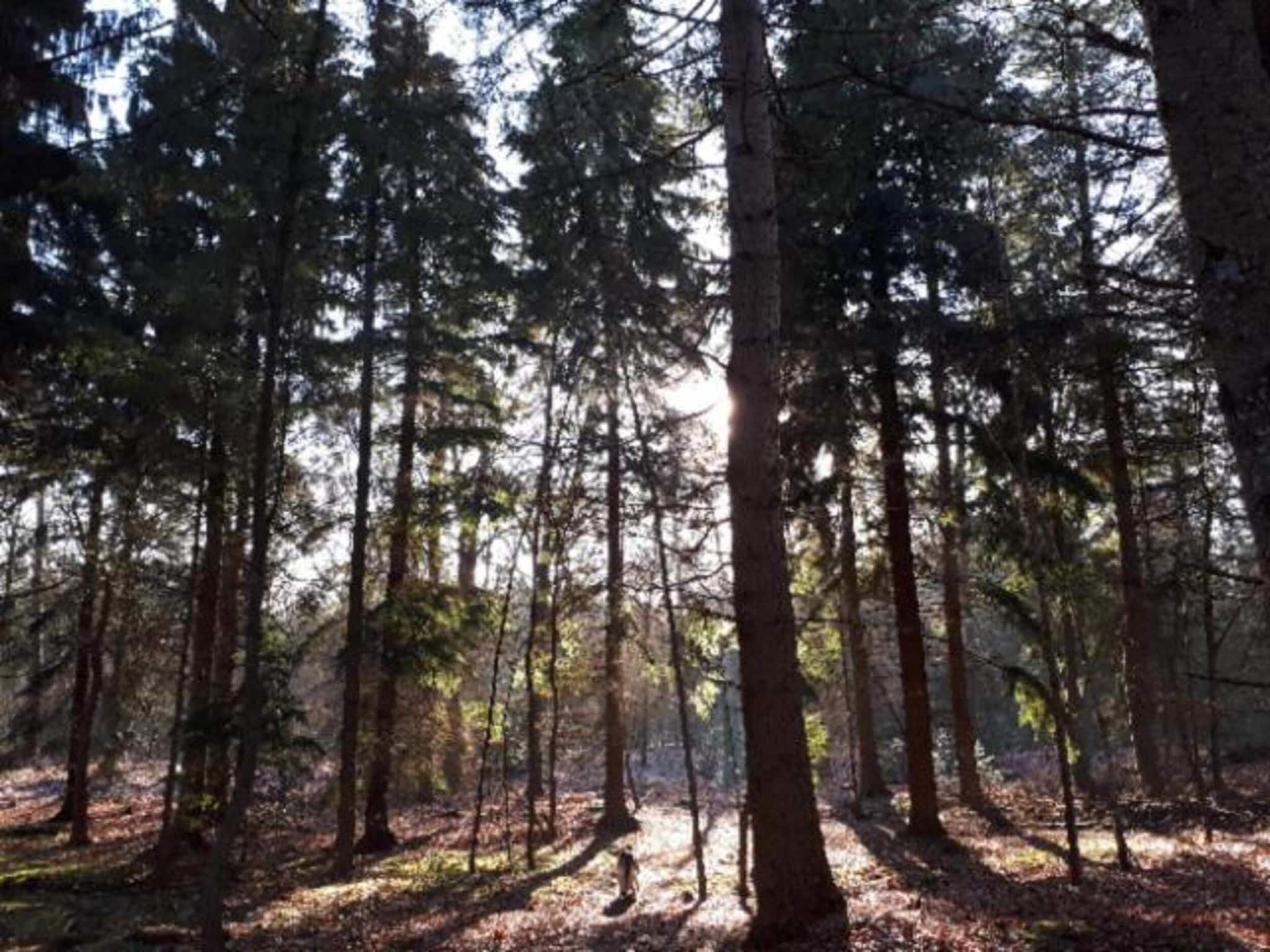 De Riek 4P in De Kiel - Foto 18 van 25