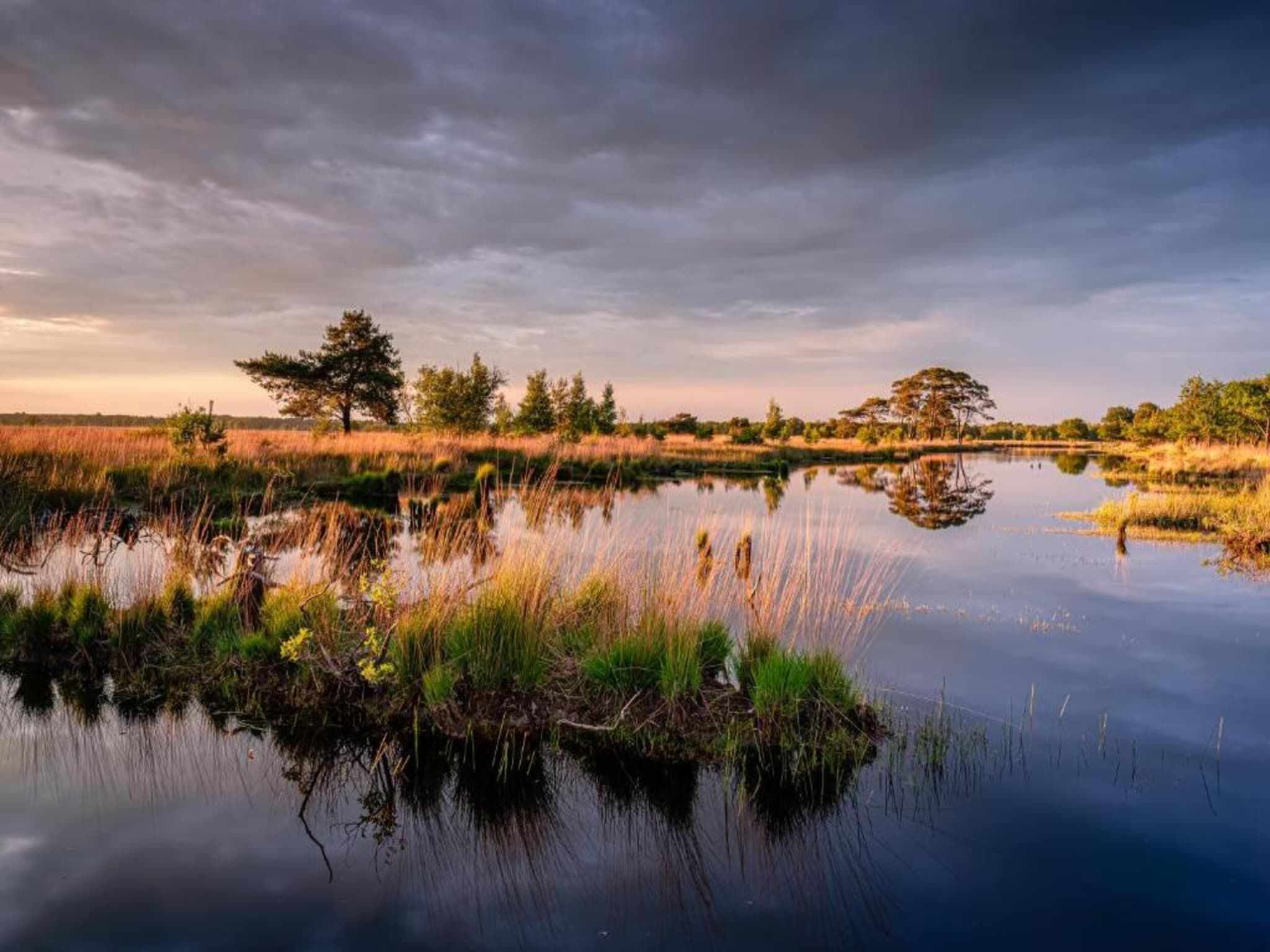 De Riek 4P in De Kiel - Foto 17 van 25