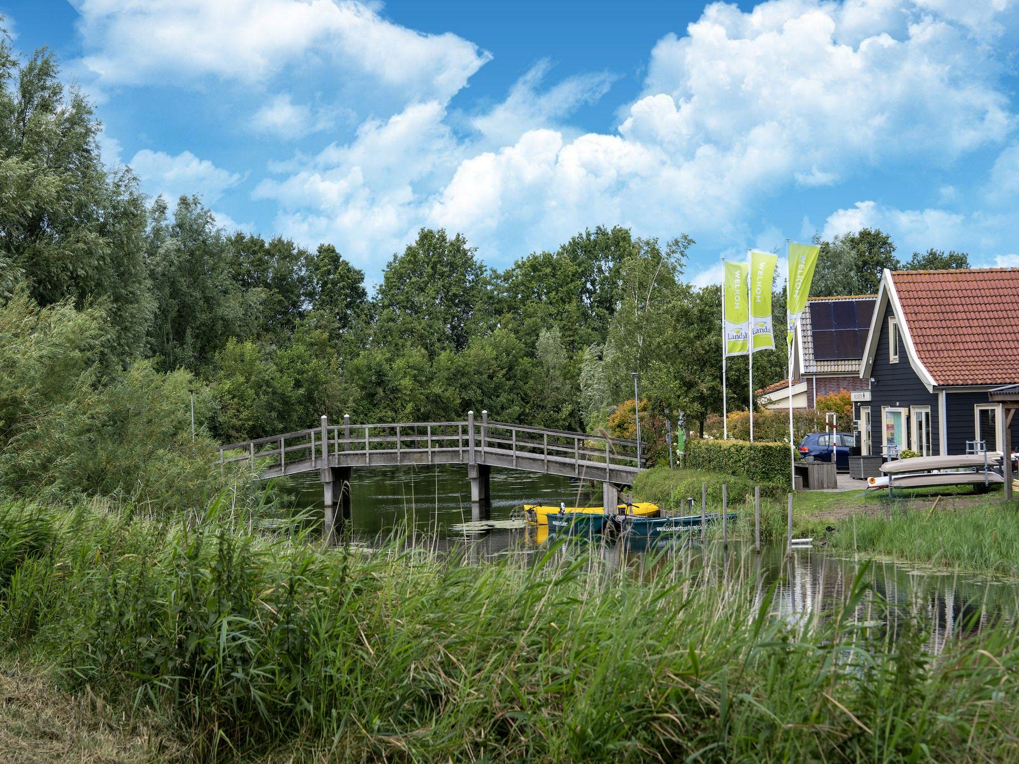 Kuifduiker 5 in Simonshaven - Foto 30 van 40