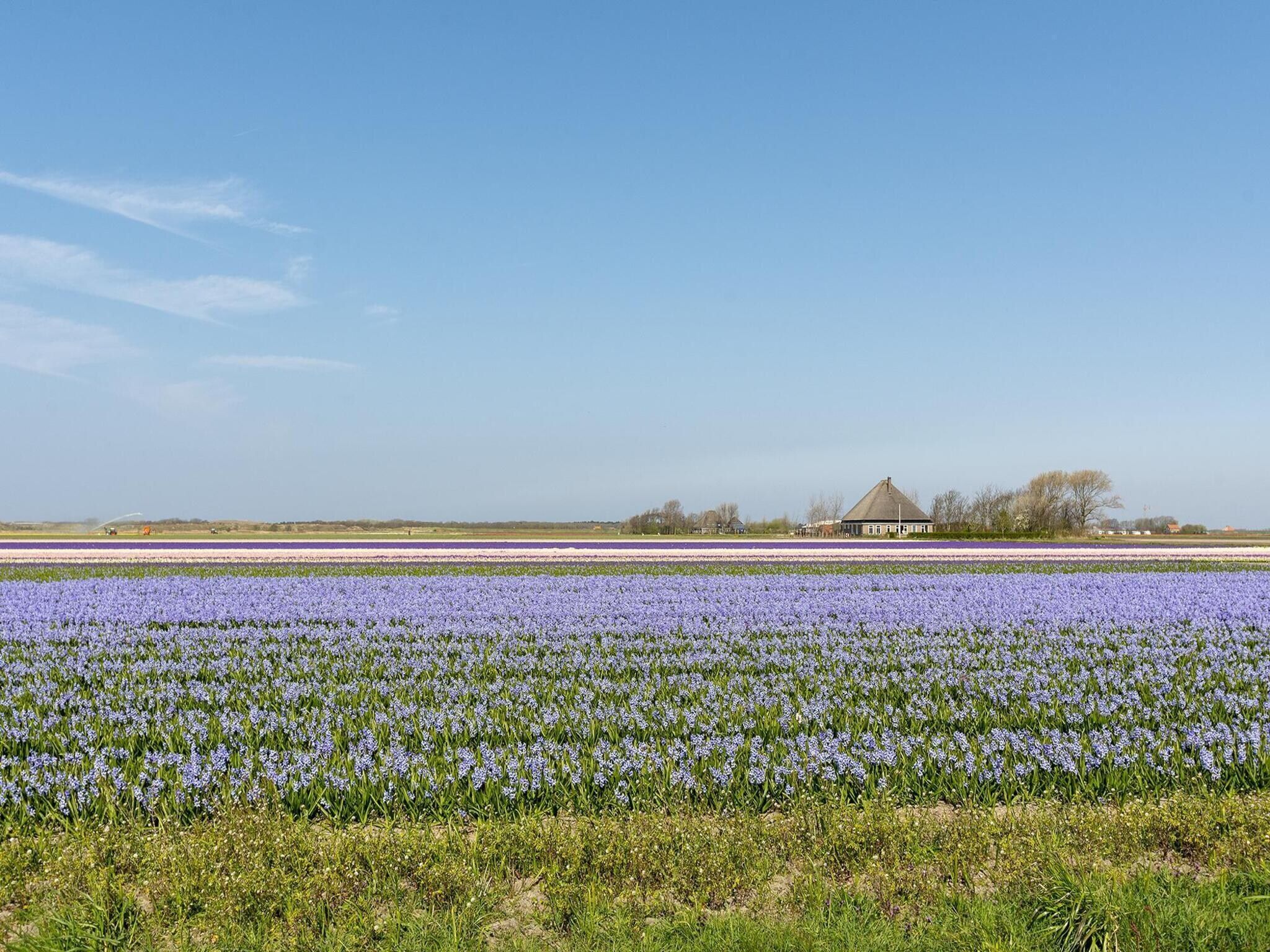 Ooghduyne 148 in Julianadorp aan Zee - Foto 25 van 25