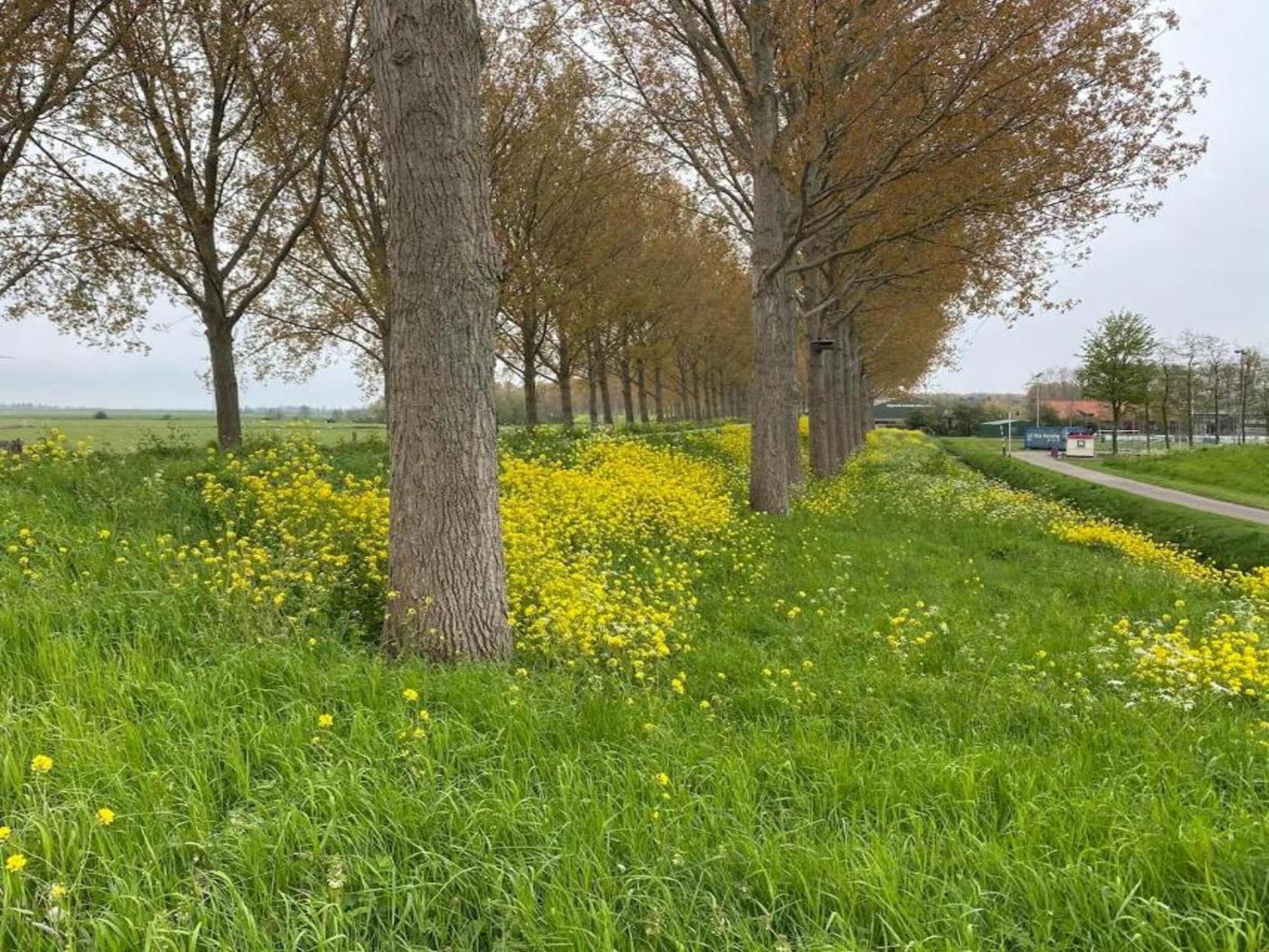 Standaard 24 in Simonshaven - Foto 33 van 36