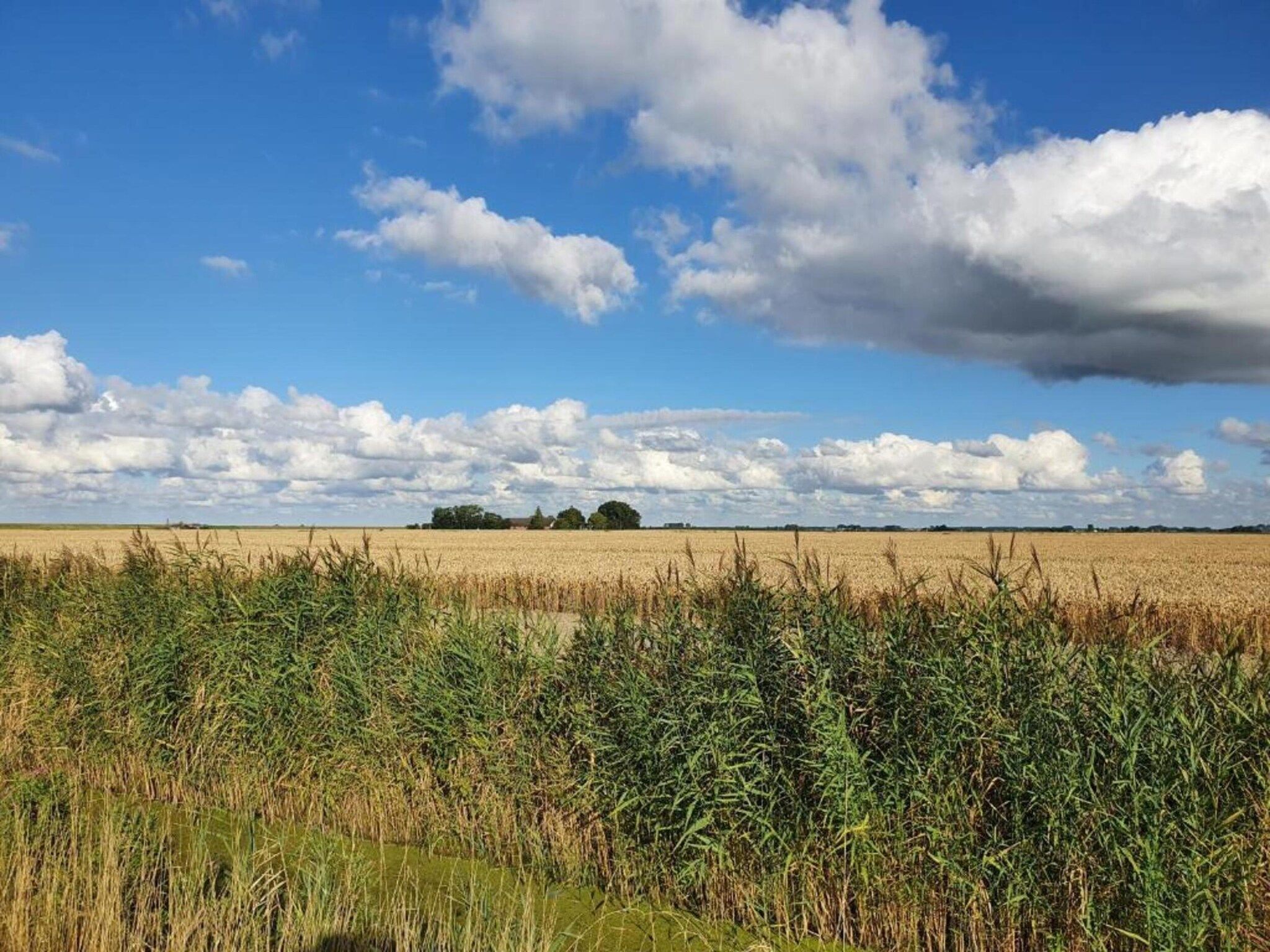 Standaard 24 in Simonshaven - Foto 28 van 30