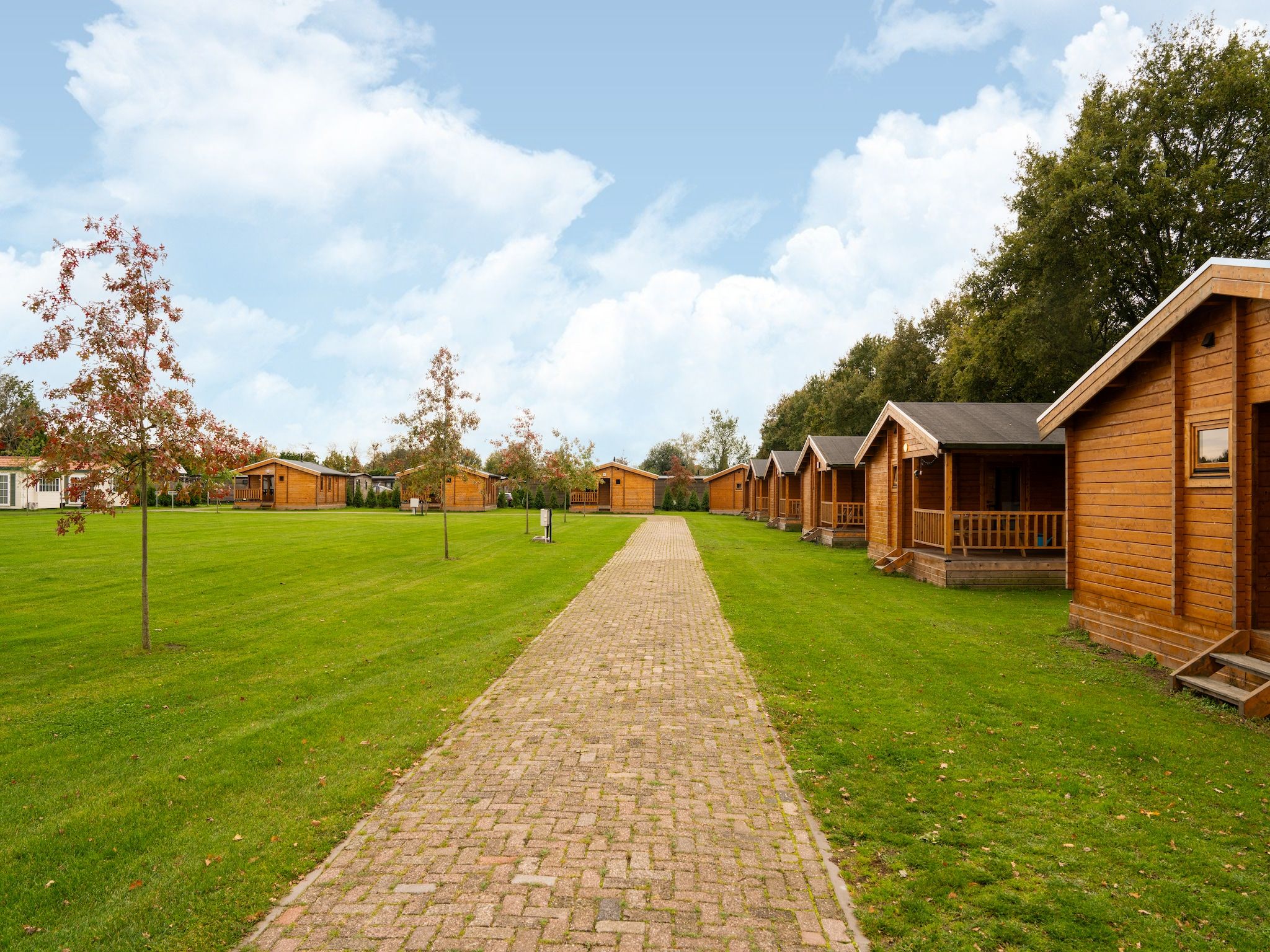 De tuin van Chalet Riga in Valkenswaard