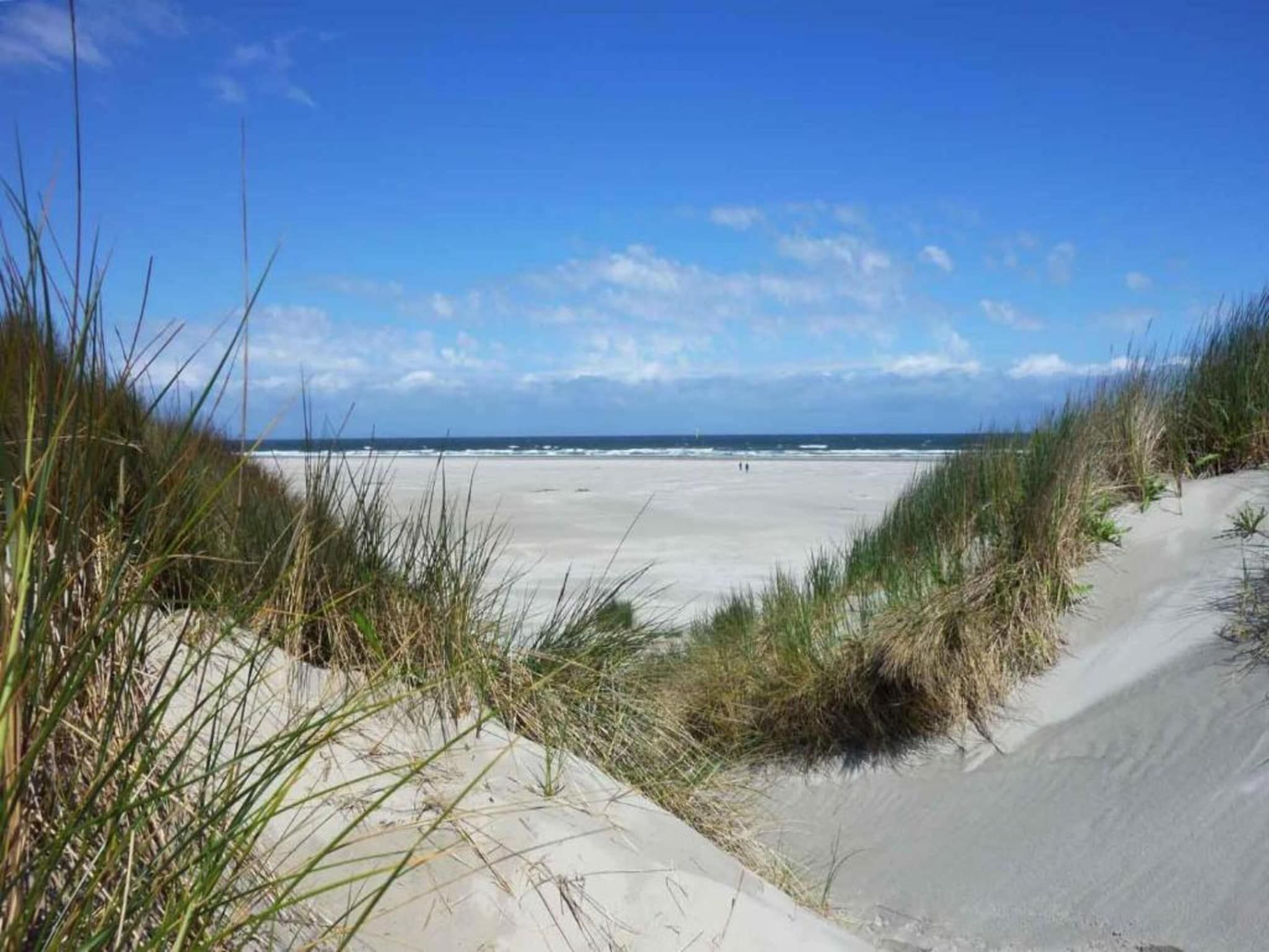 Beach Studio Texel in De Koog - Foto 37 van 38