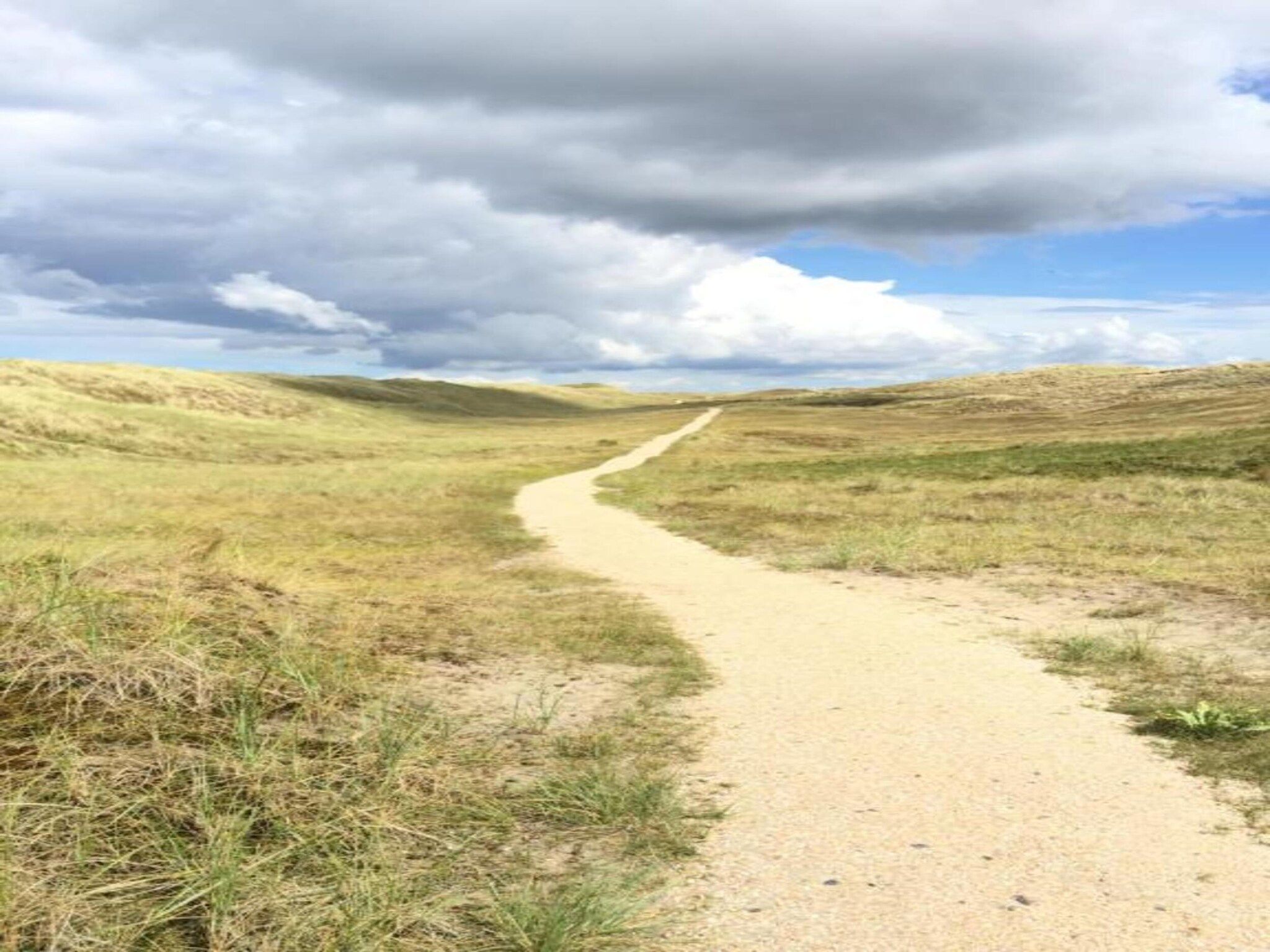 Duinvink in Sint Maartenszee - Foto 27 van 34