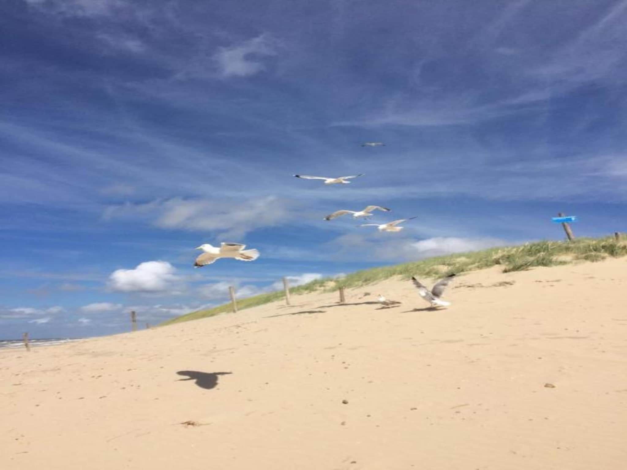 Strandslag 217 in Julianadorp aan Zee - Foto 23 van 34