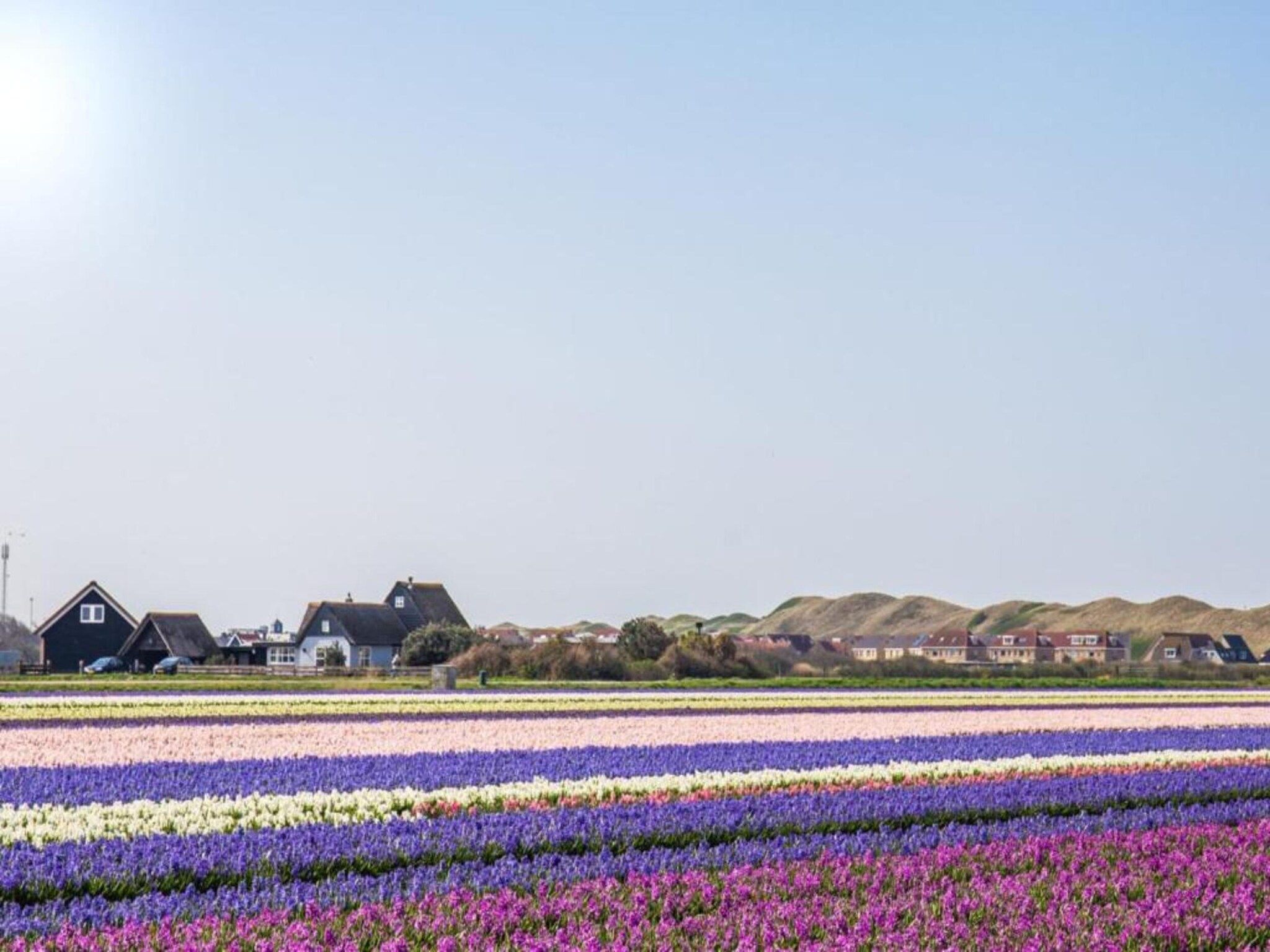 Strandslag 223 in Julianadorp aan Zee - Foto 17 van 29