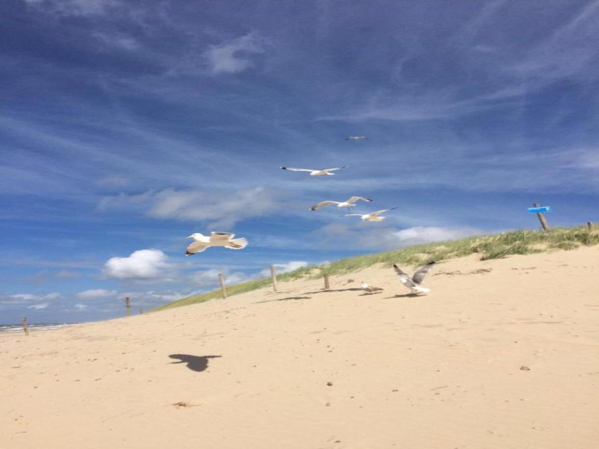 Strandslag 225 in Julianadorp aan Zee - Foto 25 van 36