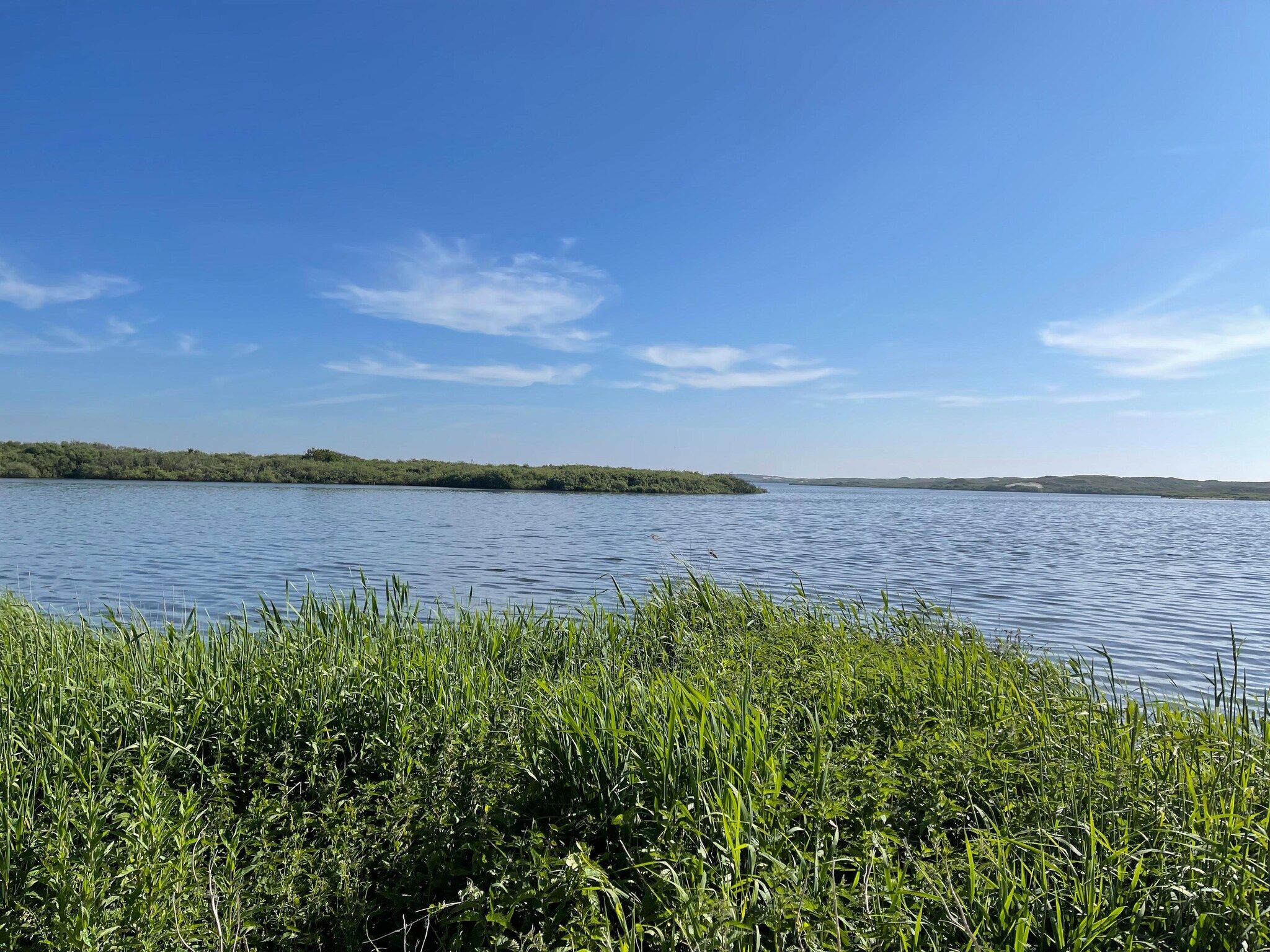 De omgeving van Tipitent de Jutter in Callantsoog