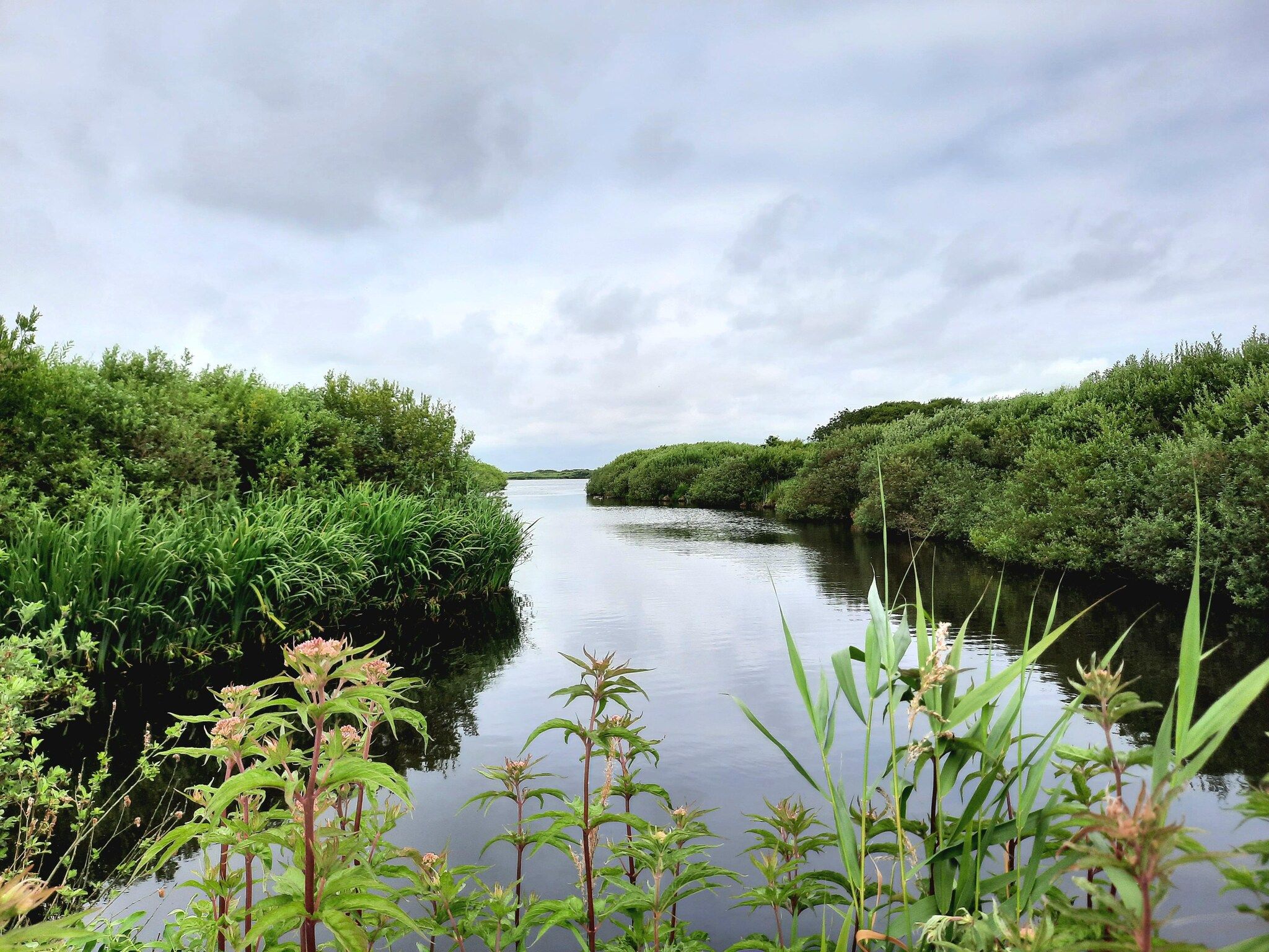 De omgeving van Tipitent de Jutter in Callantsoog