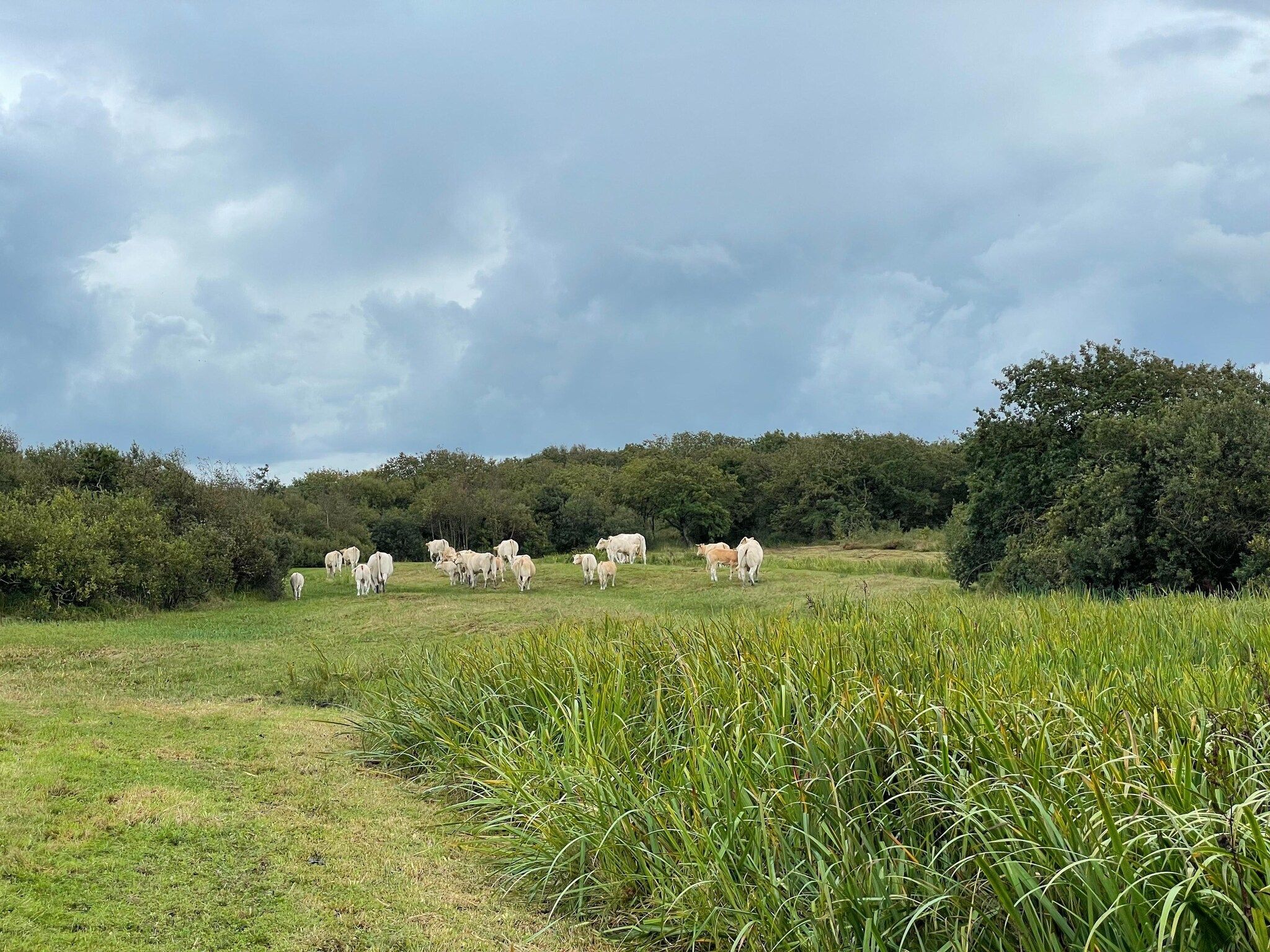 De omgeving van Tipitent de Jutter in Callantsoog