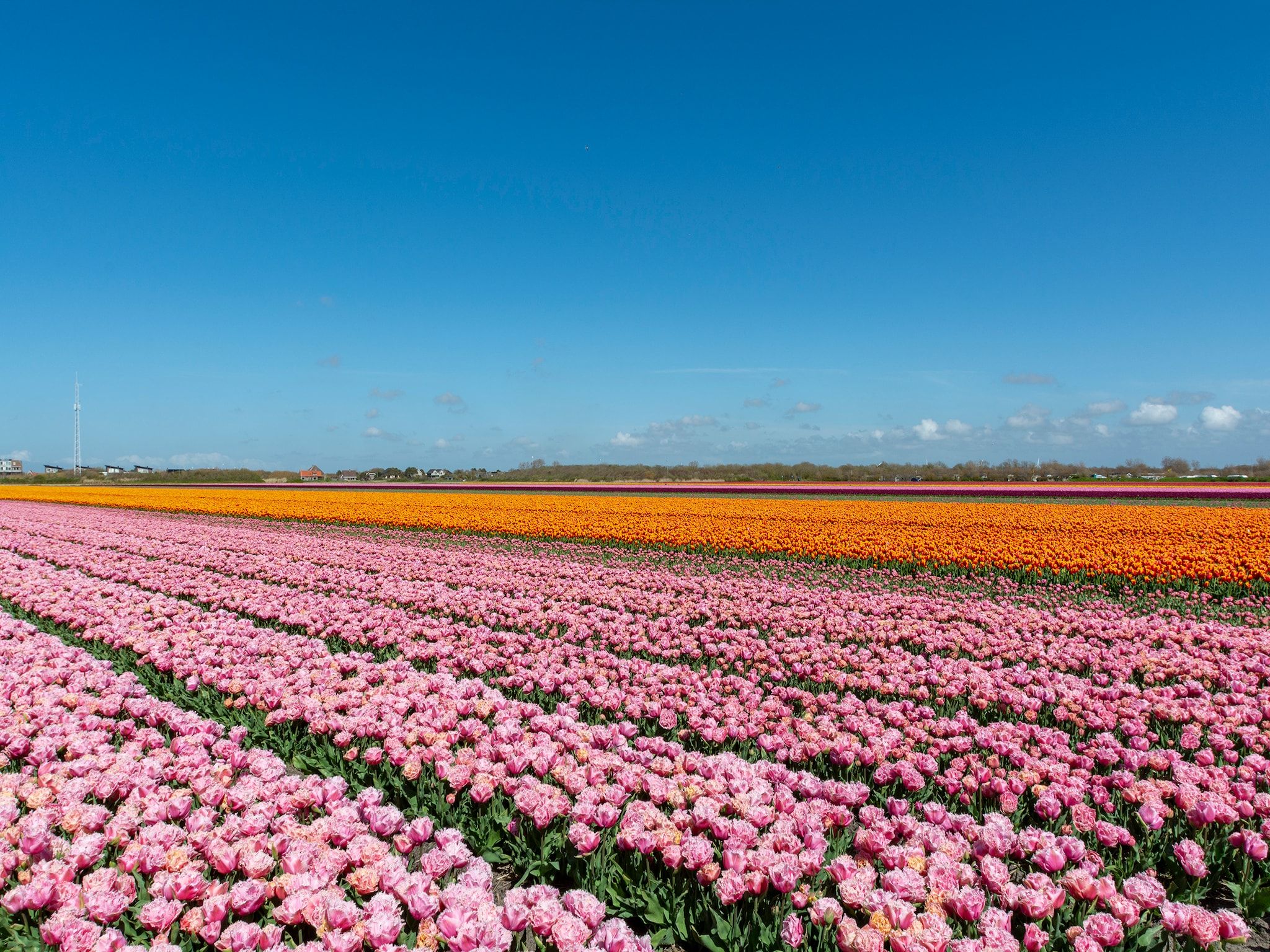 De Bunker in Callantsoog - Foto 18 van 19