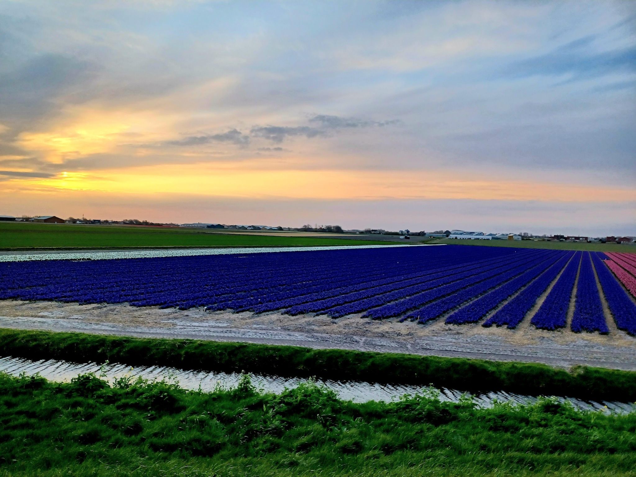 De omgeving van Vossehoeck 2 in Callantsoog