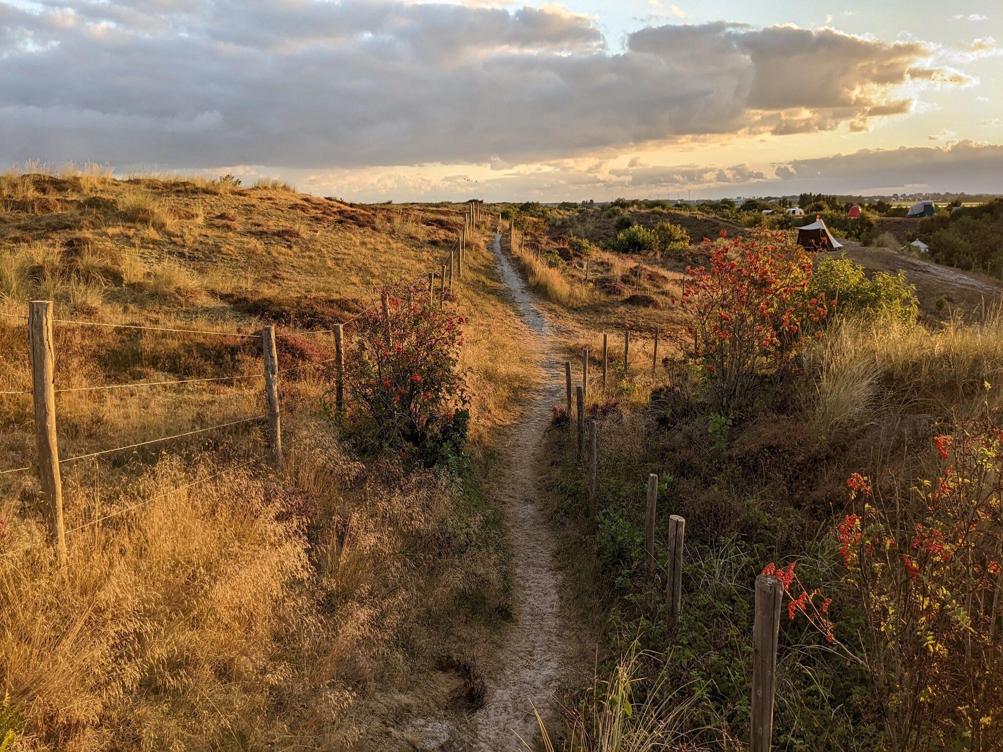De omgeving van Vossehoeck 2 in Callantsoog