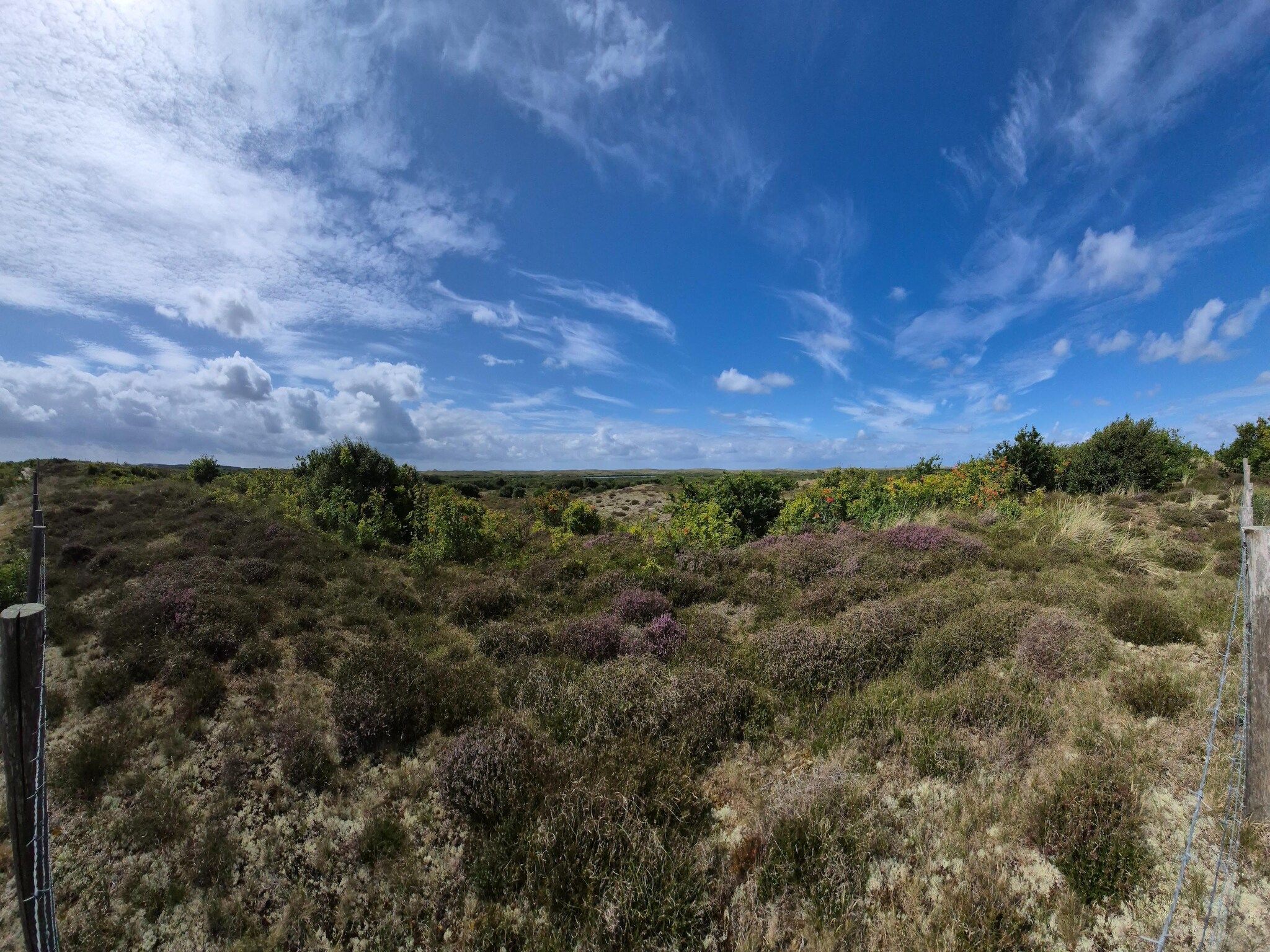 De omgeving van Vossehoeck 2 in Callantsoog
