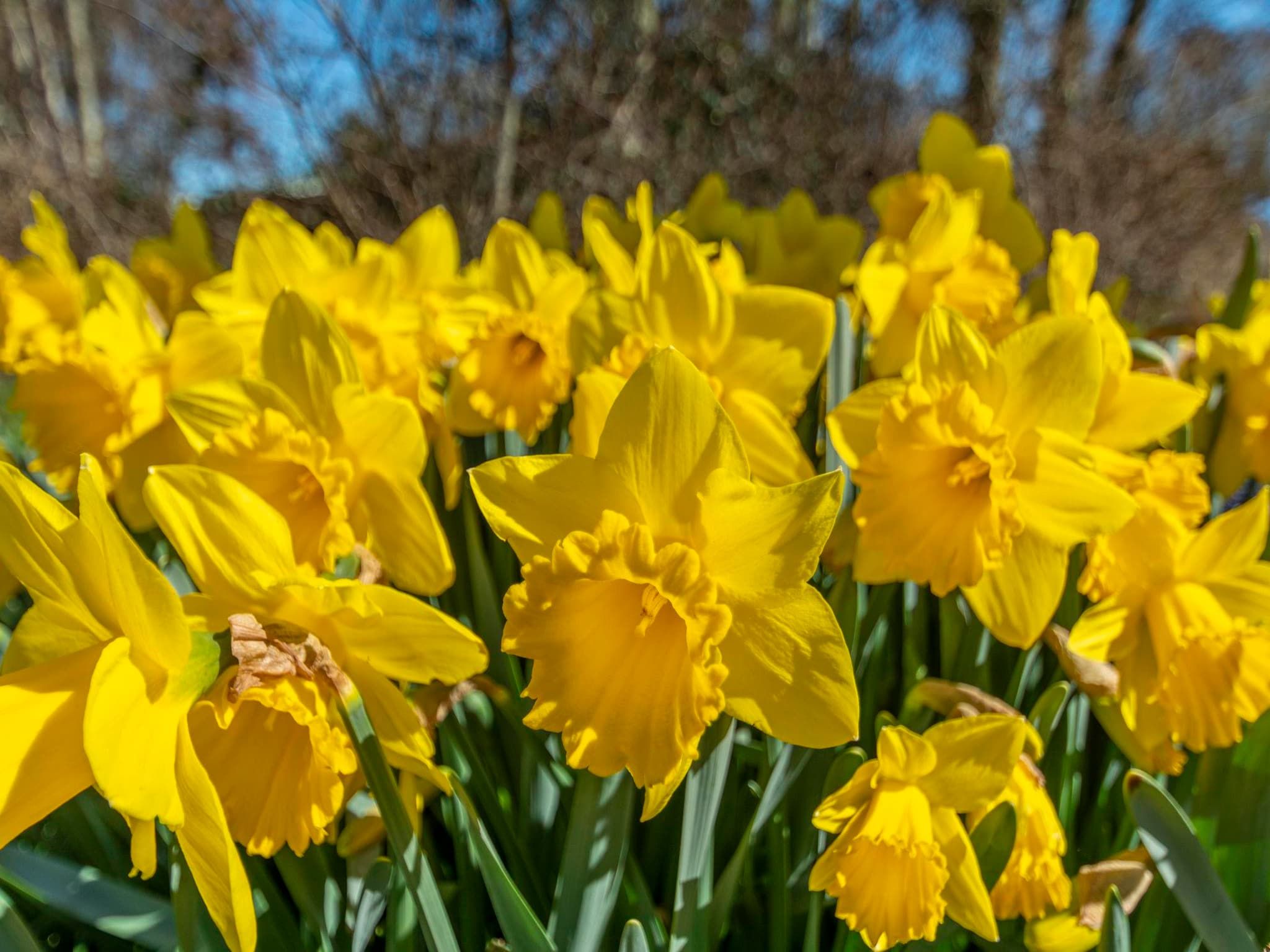 Sfeerbeeld van Garnekuul 49 in Callantsoog