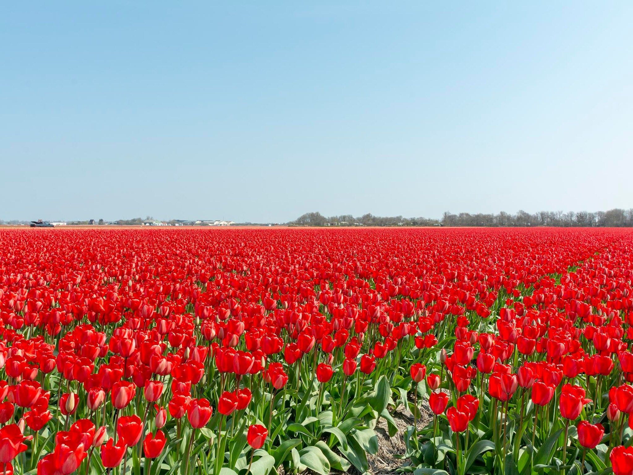 De omgeving van Garnekuul 81 in Callantsoog