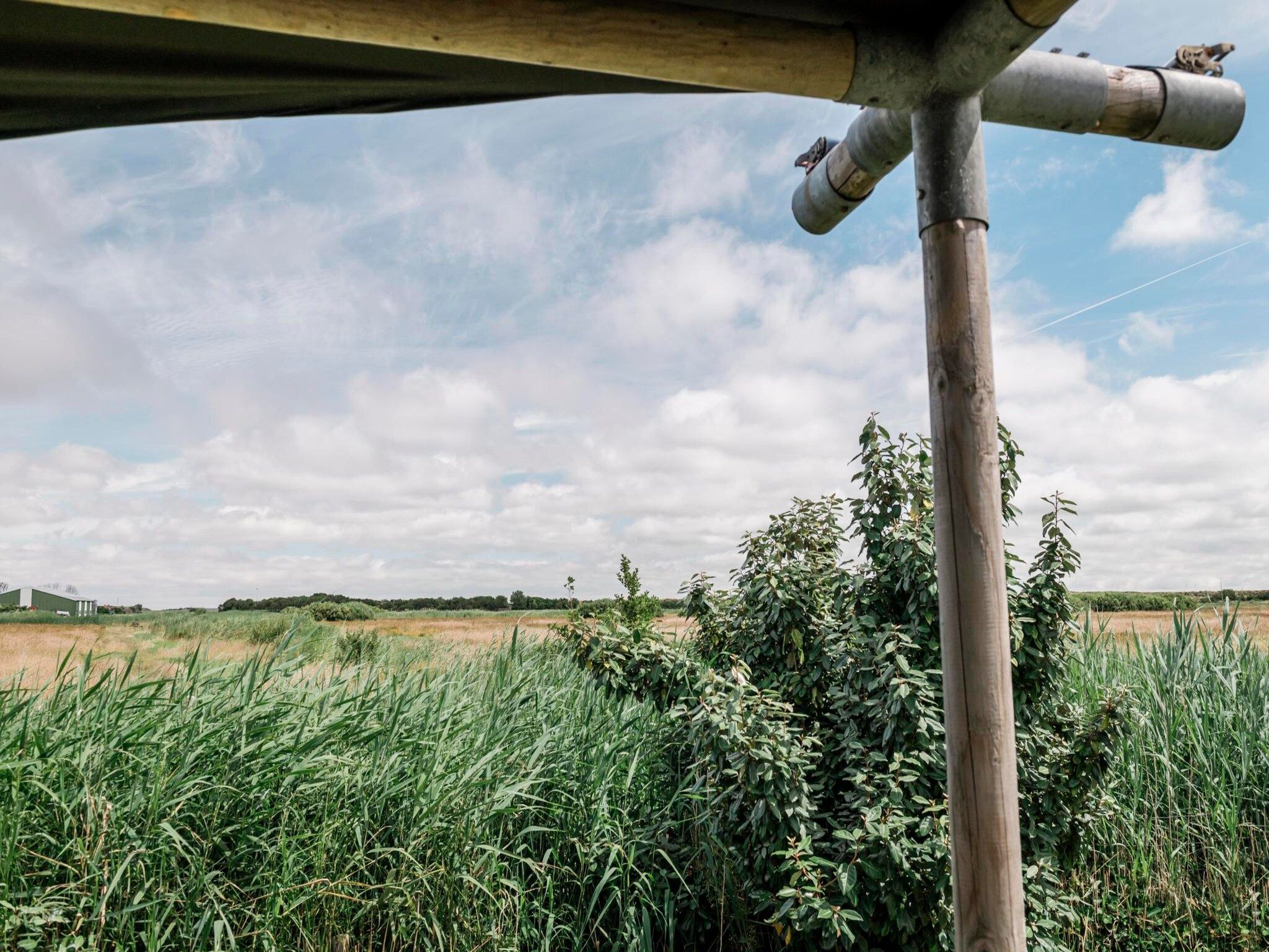 De omgeving van Beach Lodge - Duynpark in Callantsoog