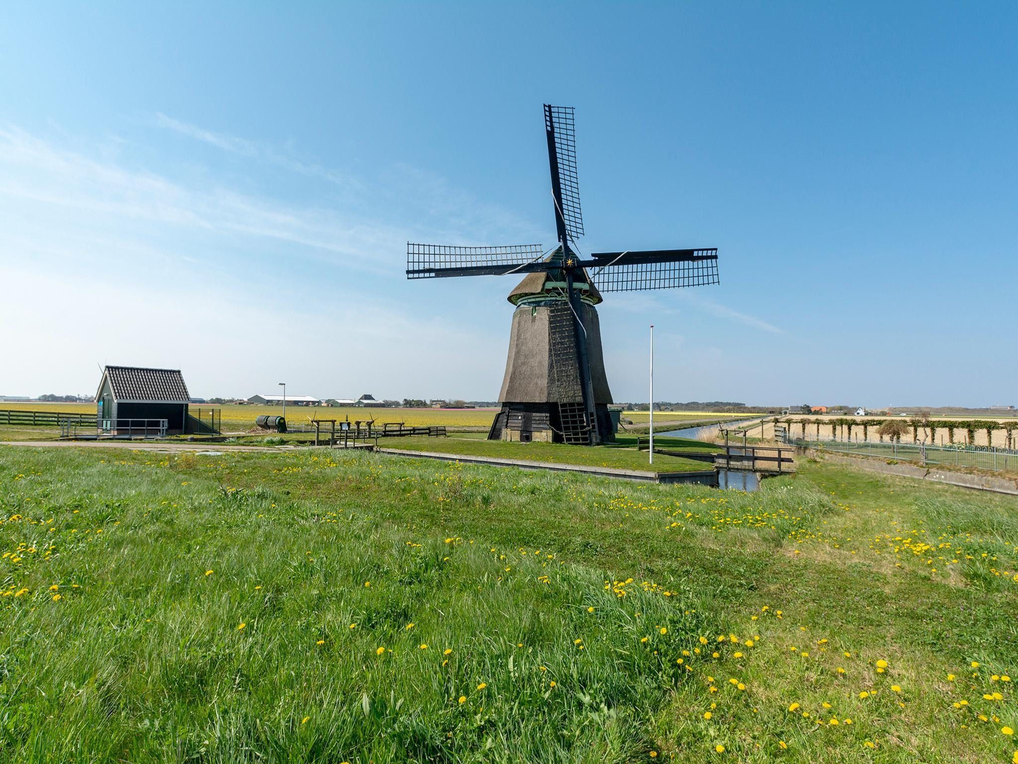 Beach Studio Campanula in Sint Maartenszee - Foto 27 van 28