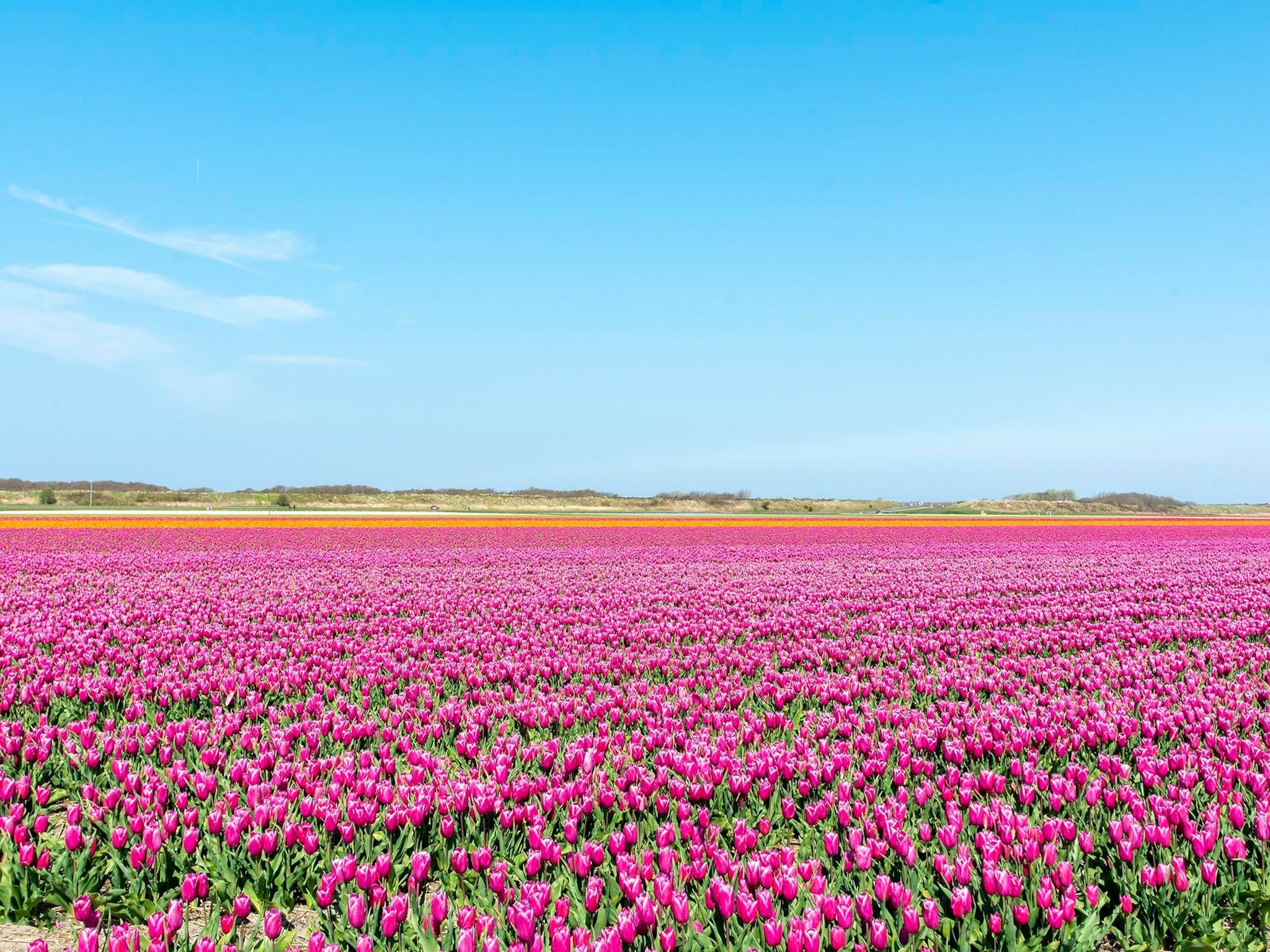 Klaproos in Groote Keeten - Foto 7 van 22