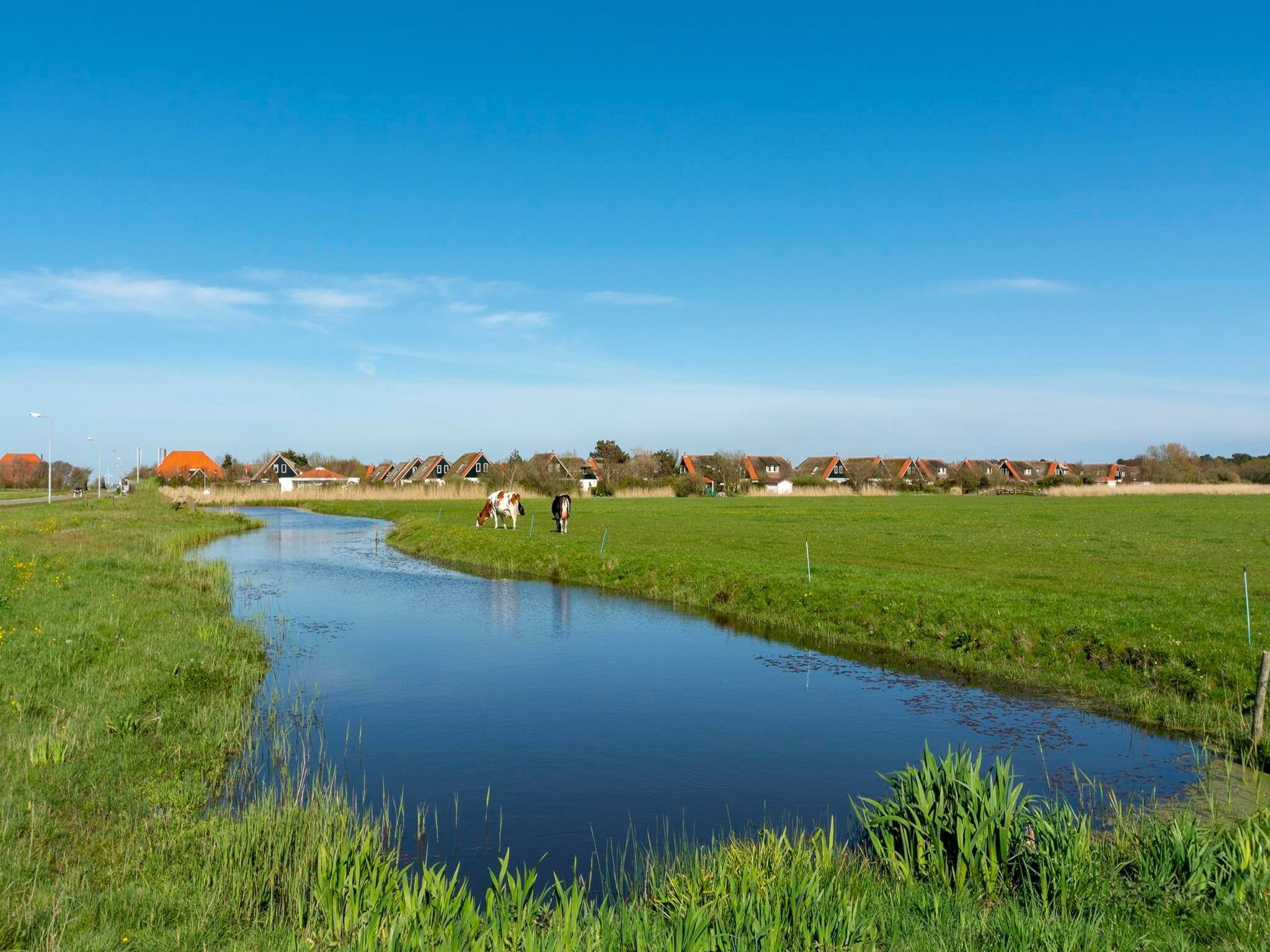 De omgeving van De Buitenplaats 7 in Callantsoog