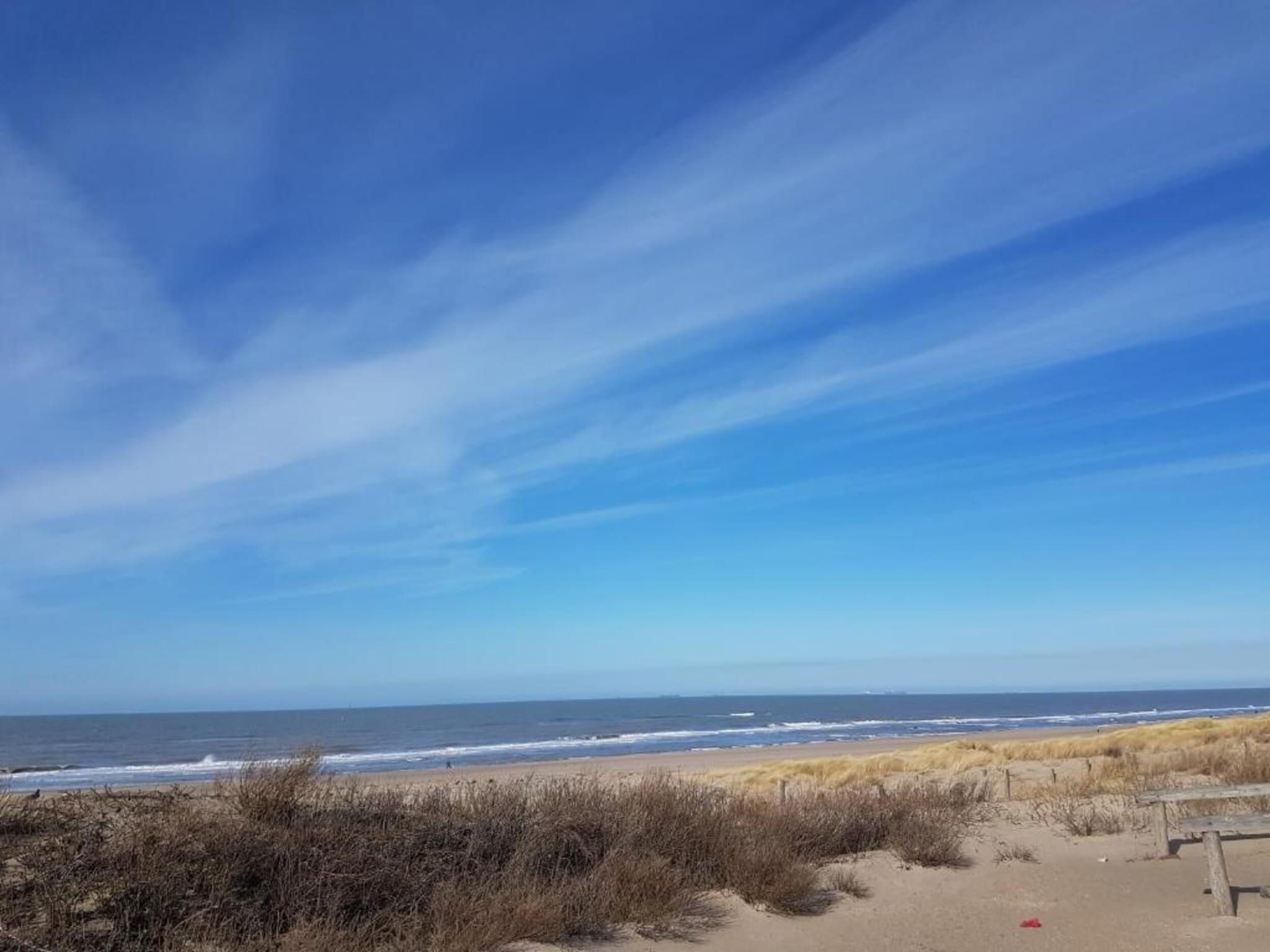 Scheveningen Harbour 36C in Scheveningen - Foto 35 van 40