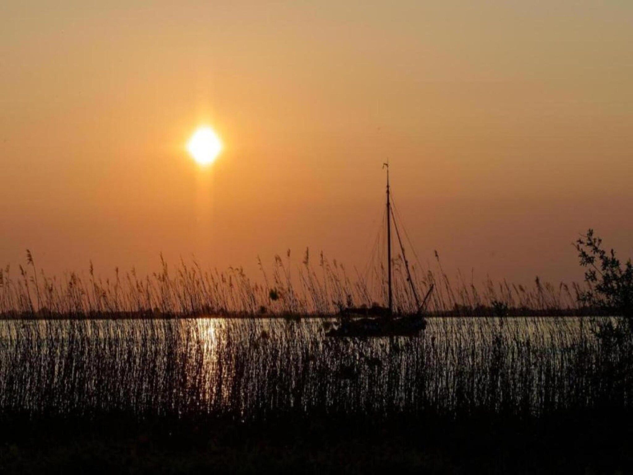 De omgeving van Docklodge 12 in Delfstrahuizen